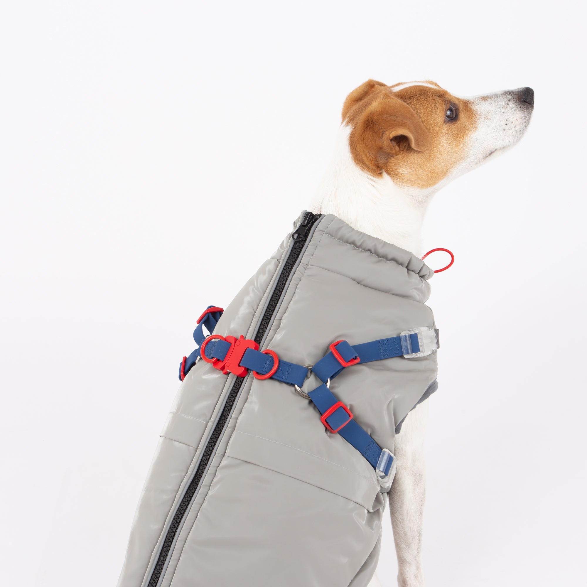 Nova Detachable Full Body Winter Dog Jacket compatible with Maximus Harness