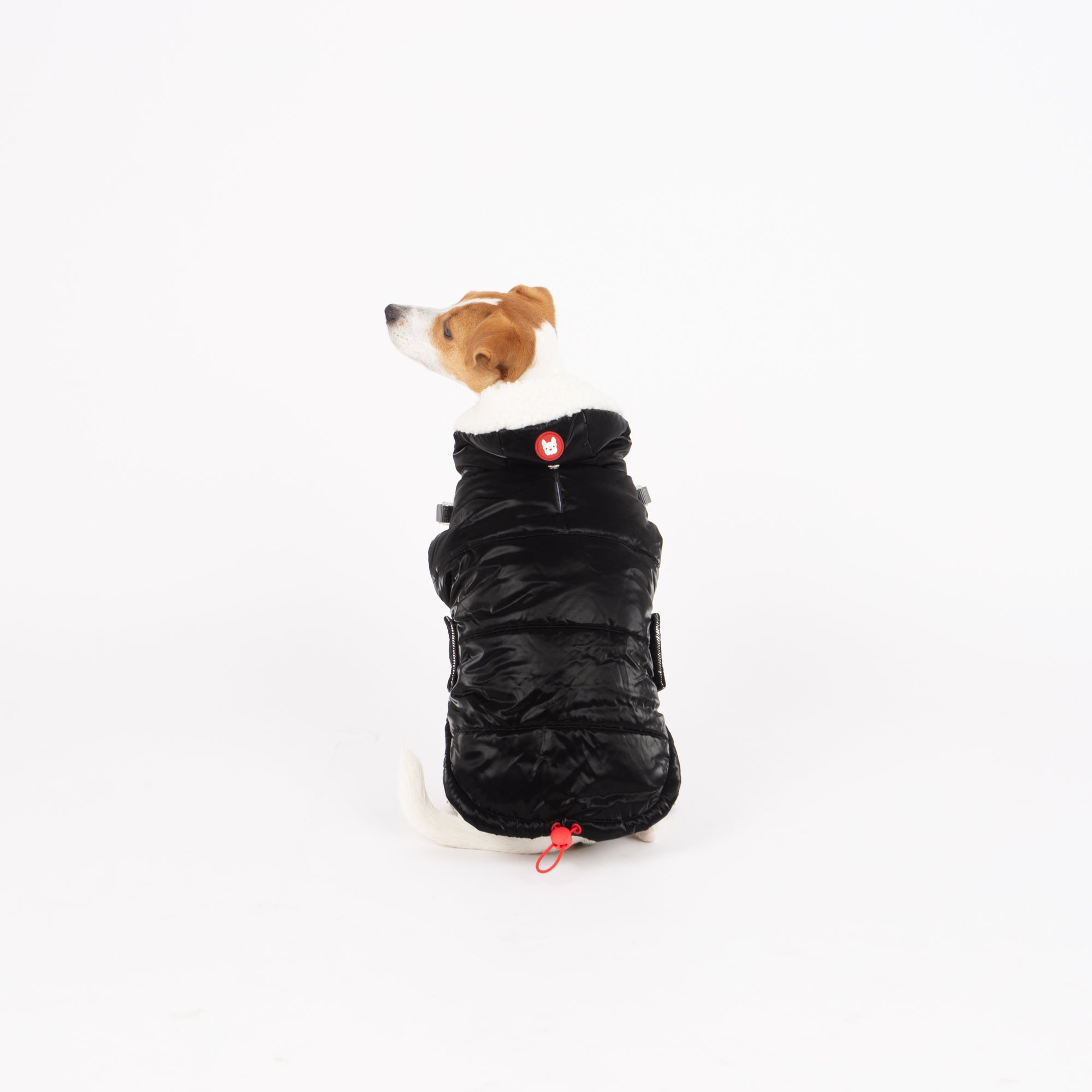 Zara Puffer Dog Jacket