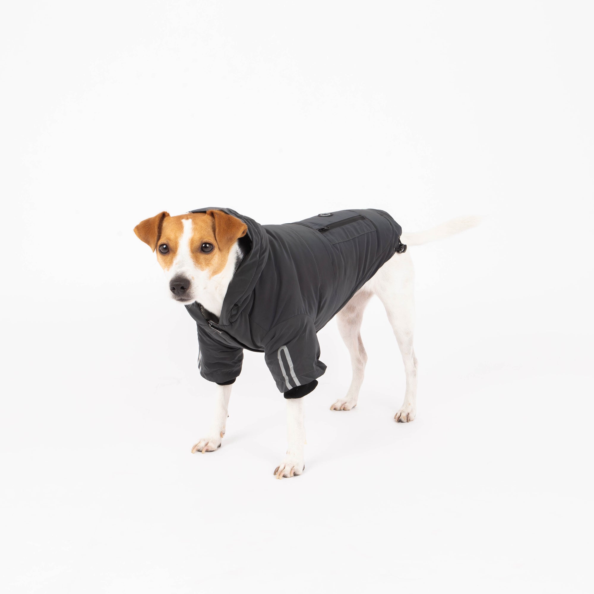 Yves Padded Winter Dog Jacket