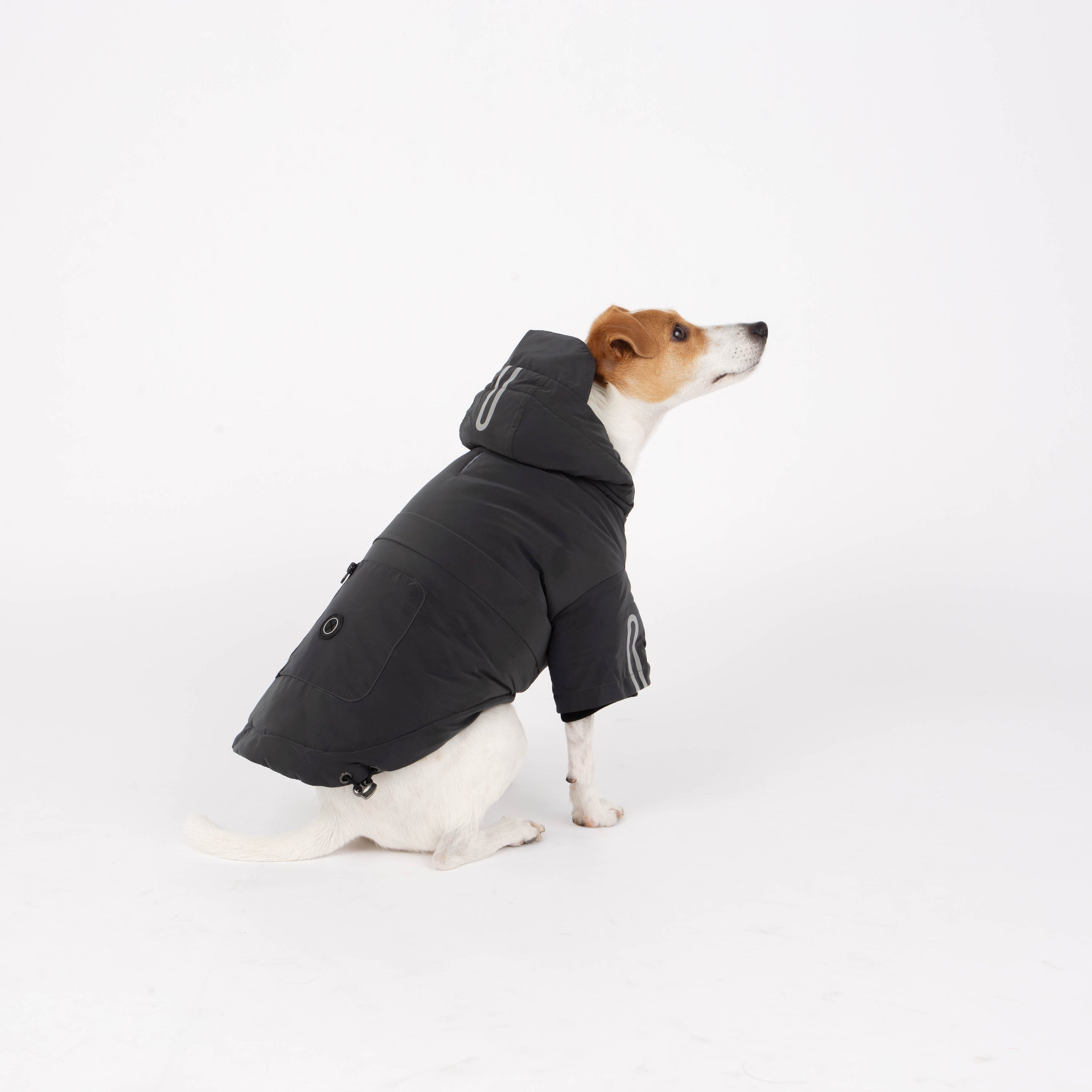 Yves Padded Winter Dog Jacket
