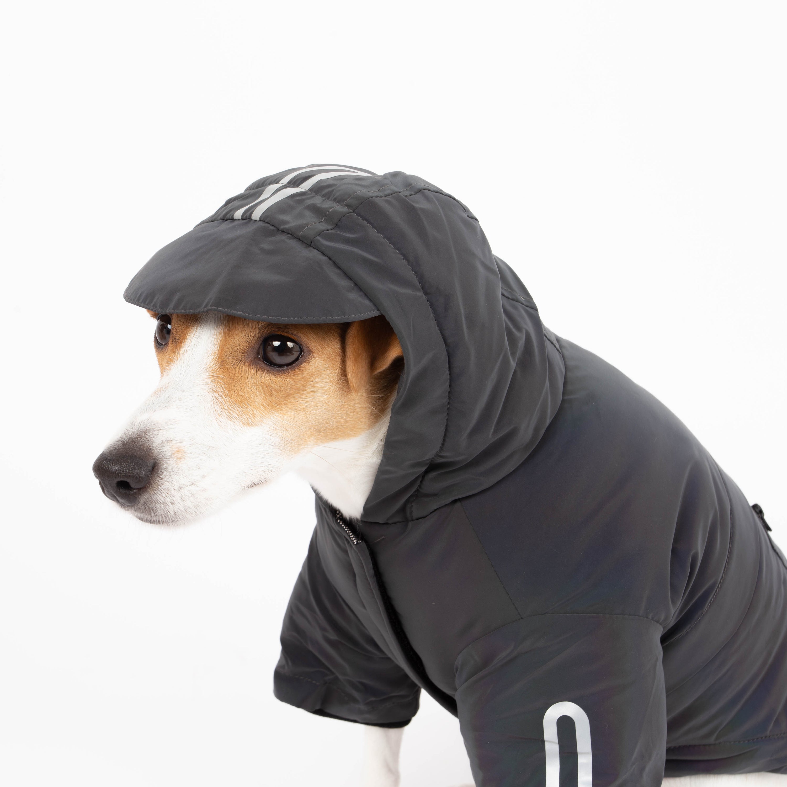 Yves Padded Winter Dog Jacket