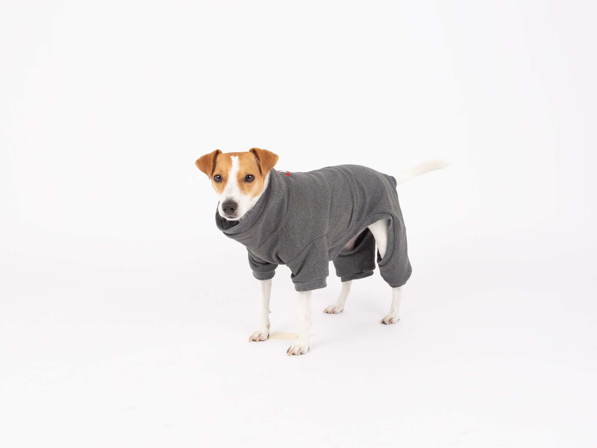 Sophia Dog Deshedding Body Suit