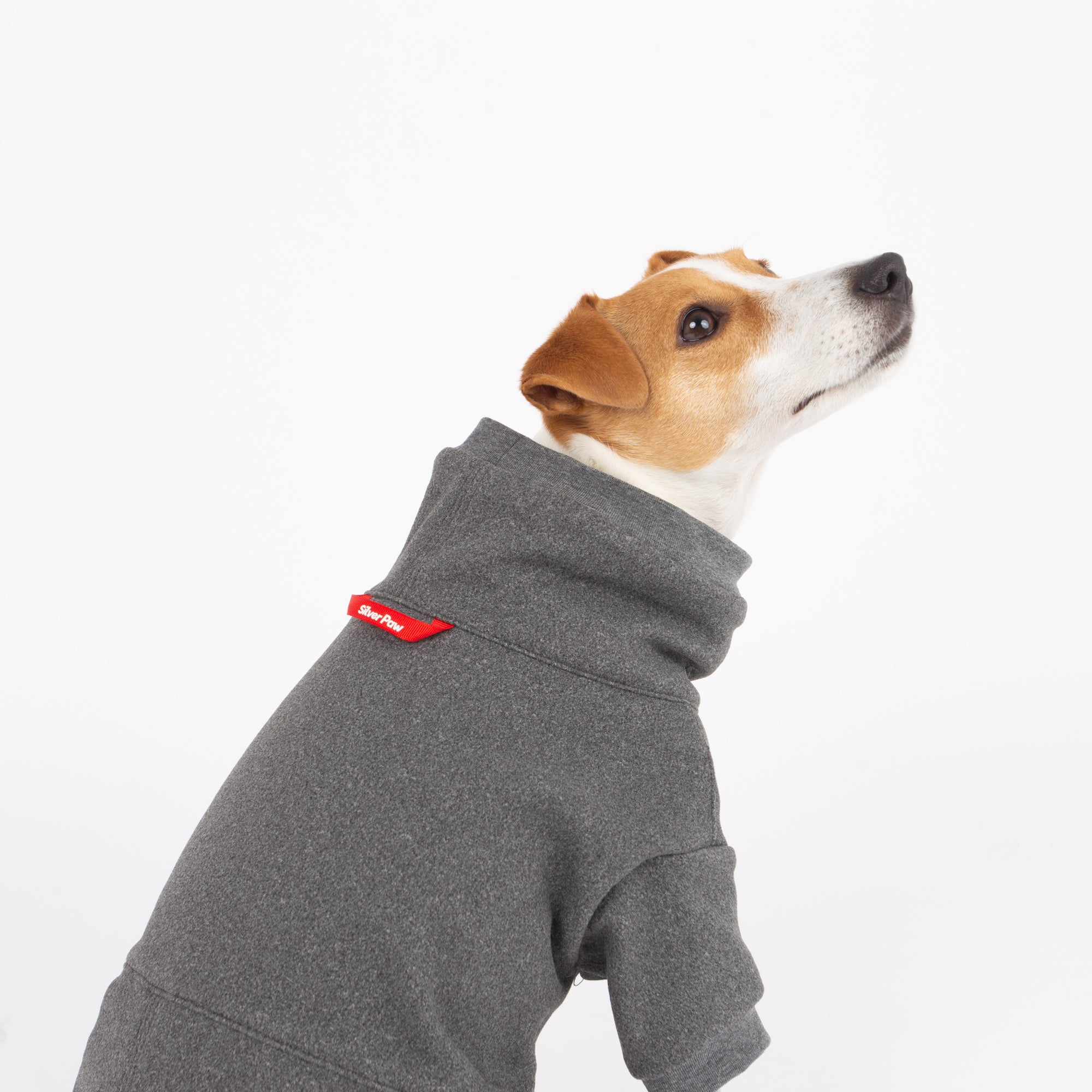 Sophia Dog Deshedding Body Suit