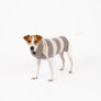Fashion Stripes Dog Sweater, Grey and Beige Stripes