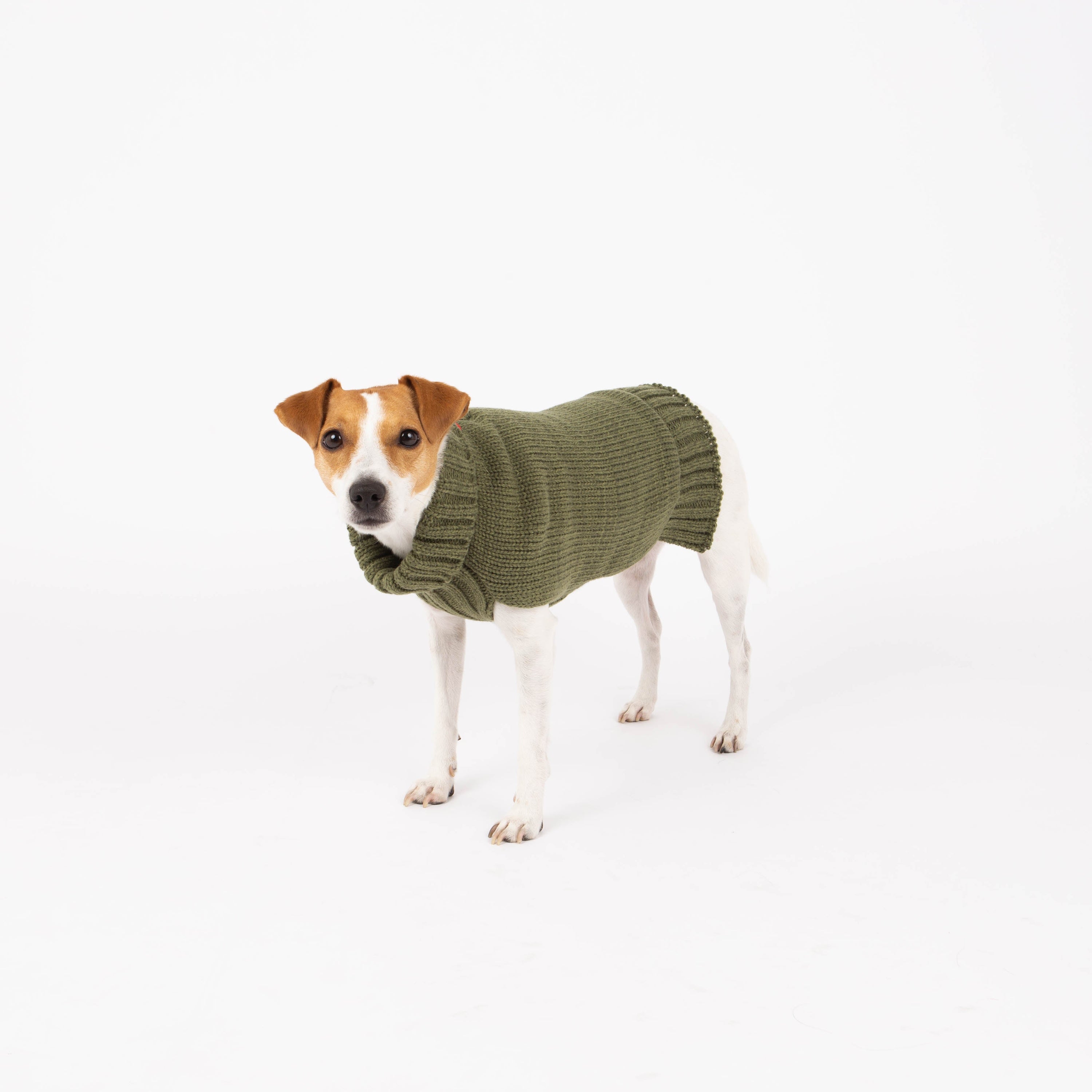 Fashion Yarn Dog Sweater