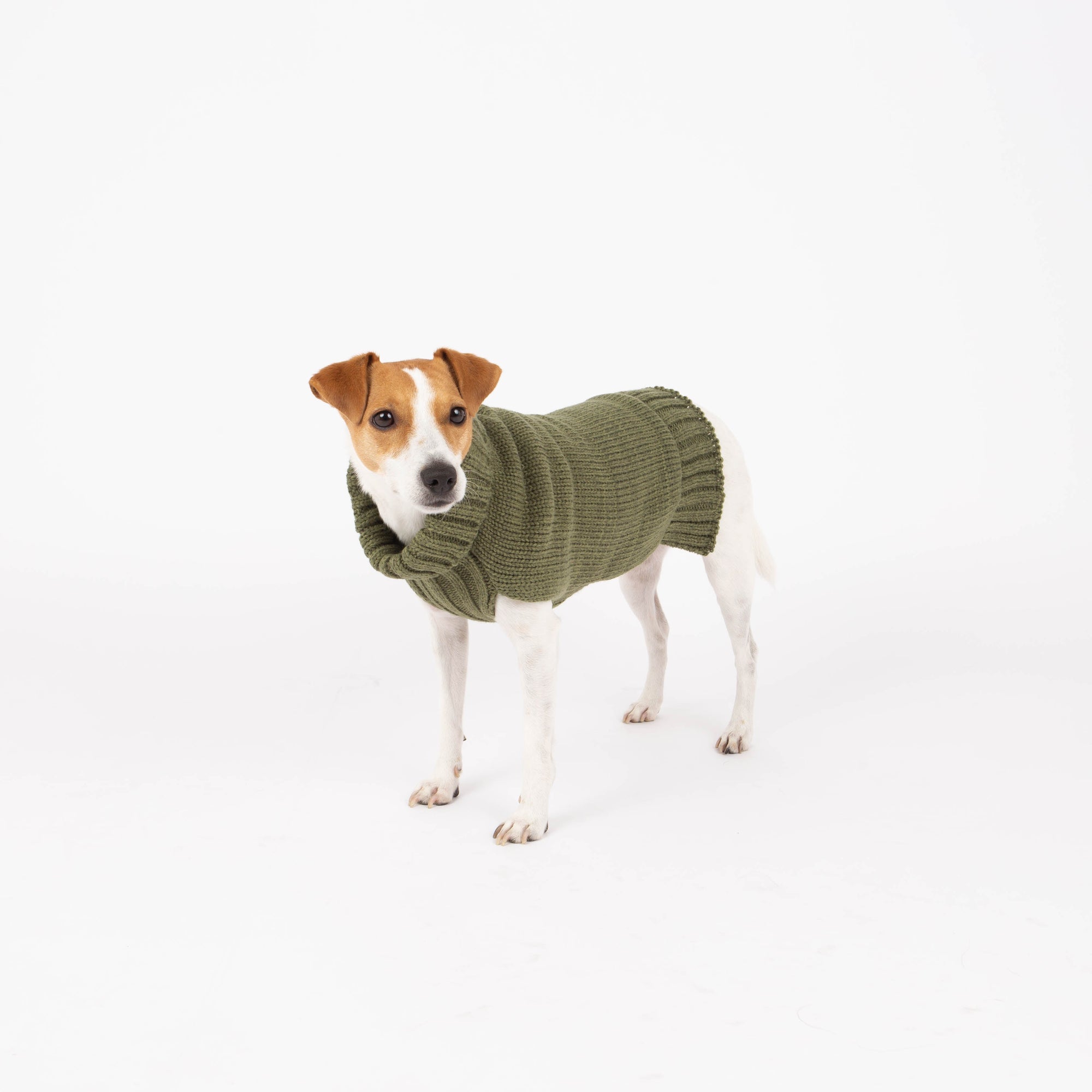 Fashion Yarn Dog Sweater