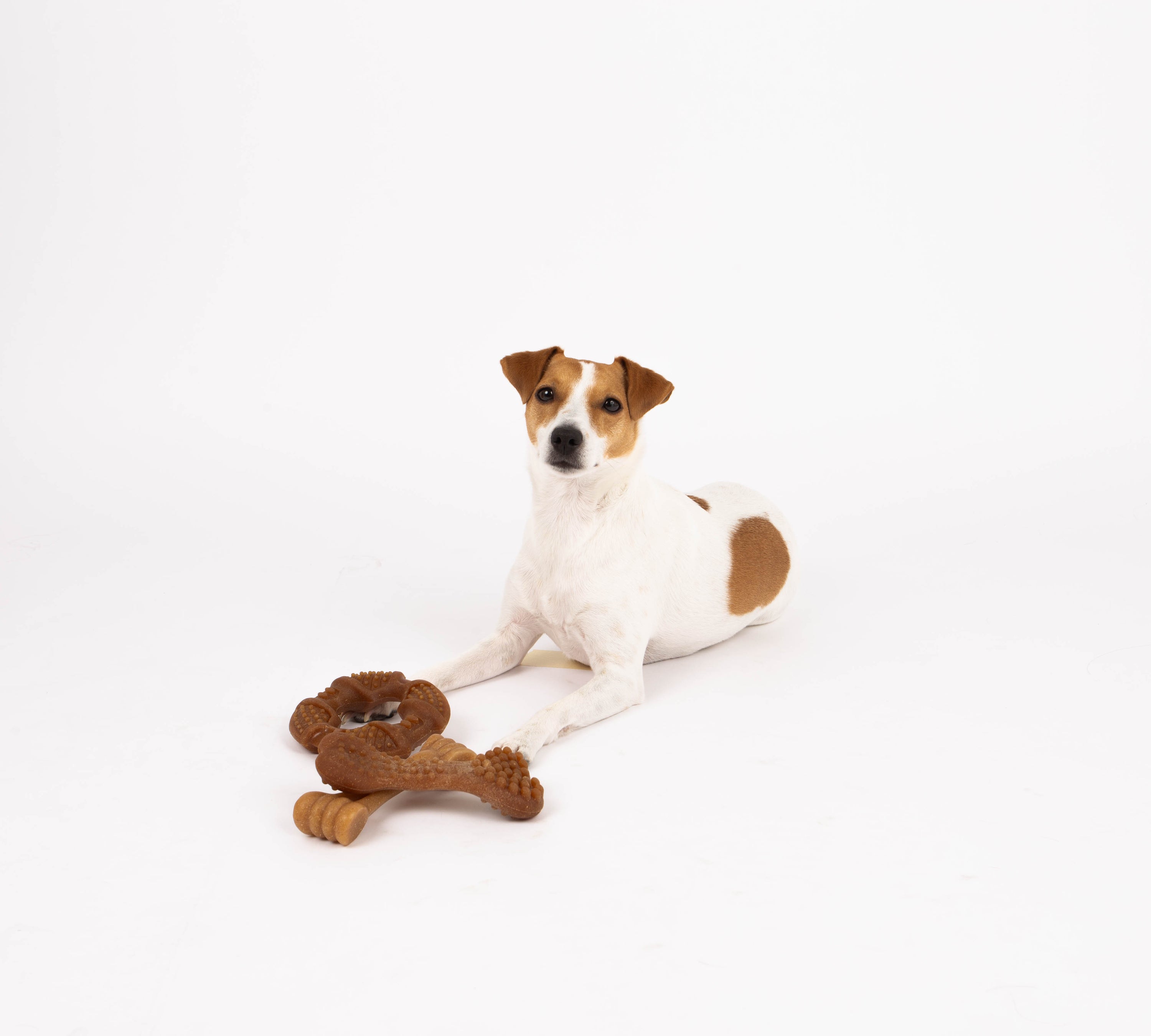 Bambooz 3 Pack Bamboo Dog Toy - Small