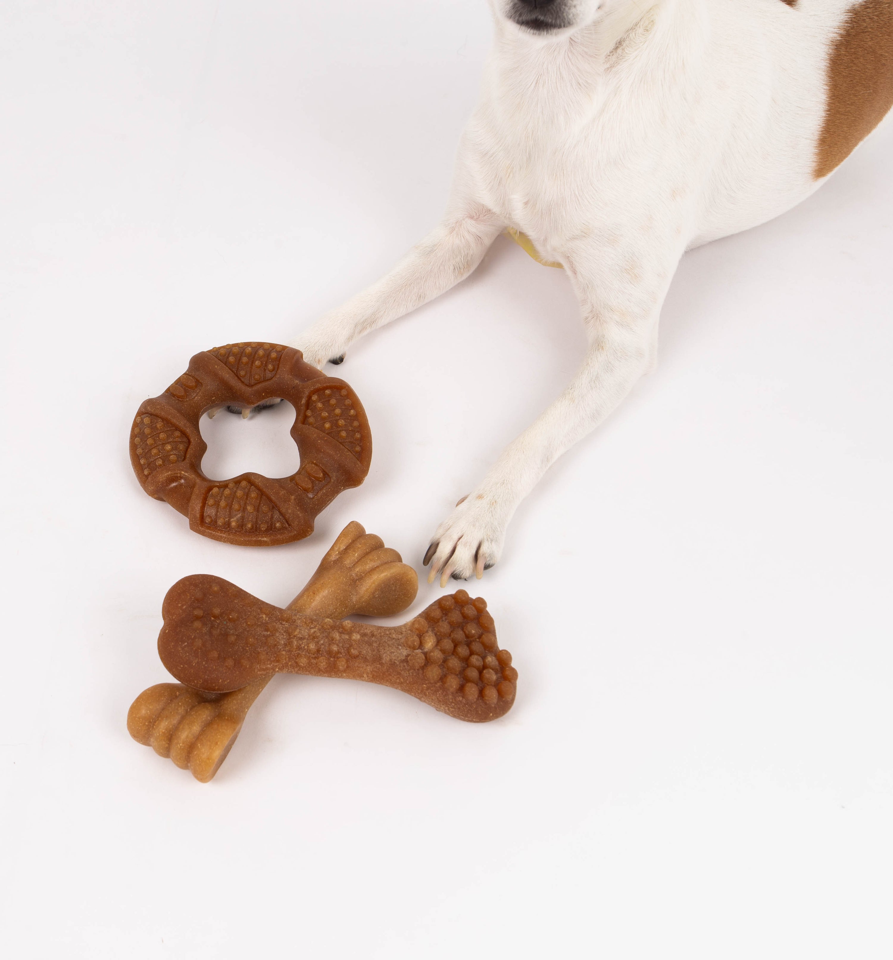 Bambooz 3 Pack Bamboo Dog Toy - Small