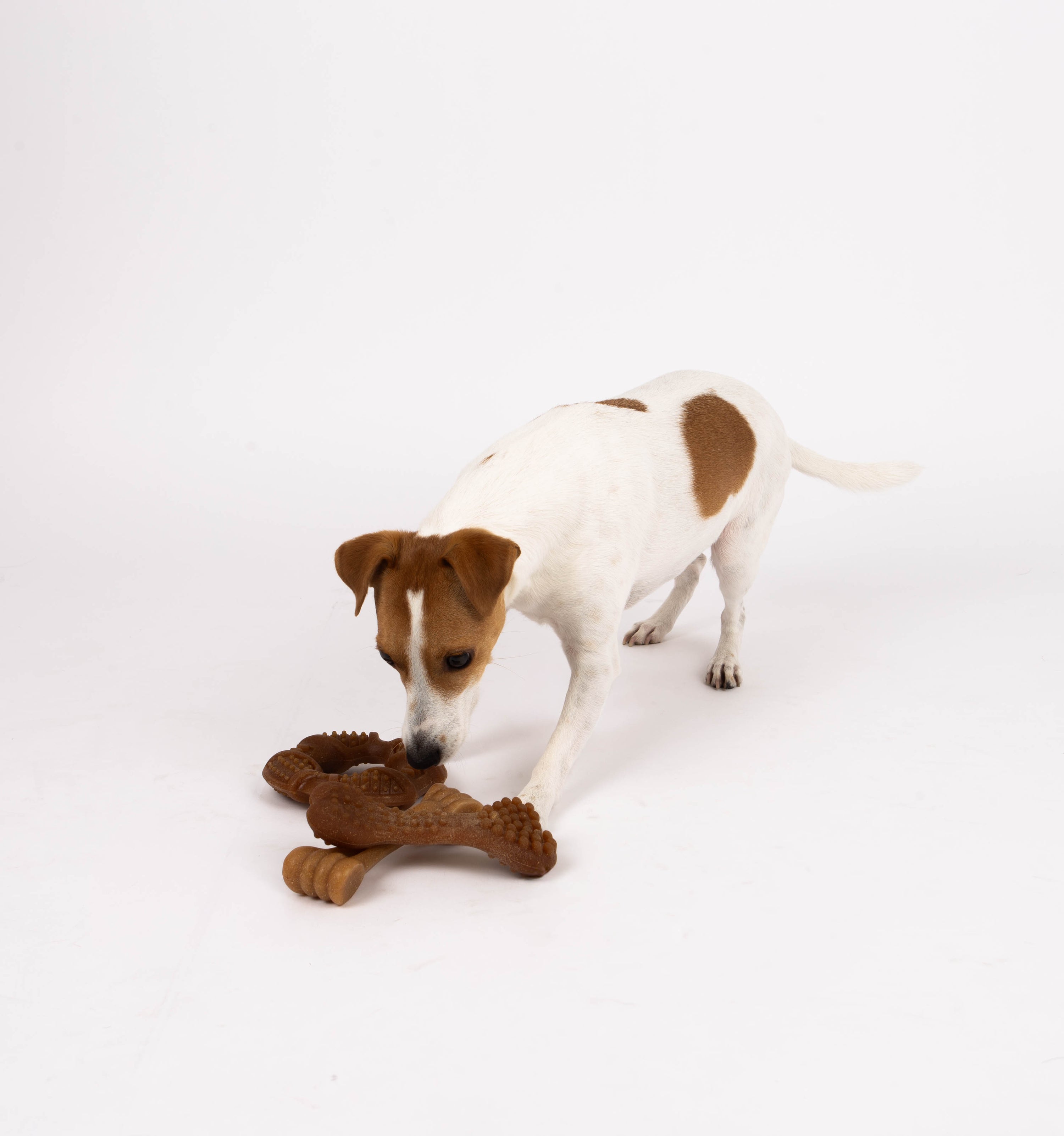 Bambooz 3 Pack Bamboo Dog Toy - Small