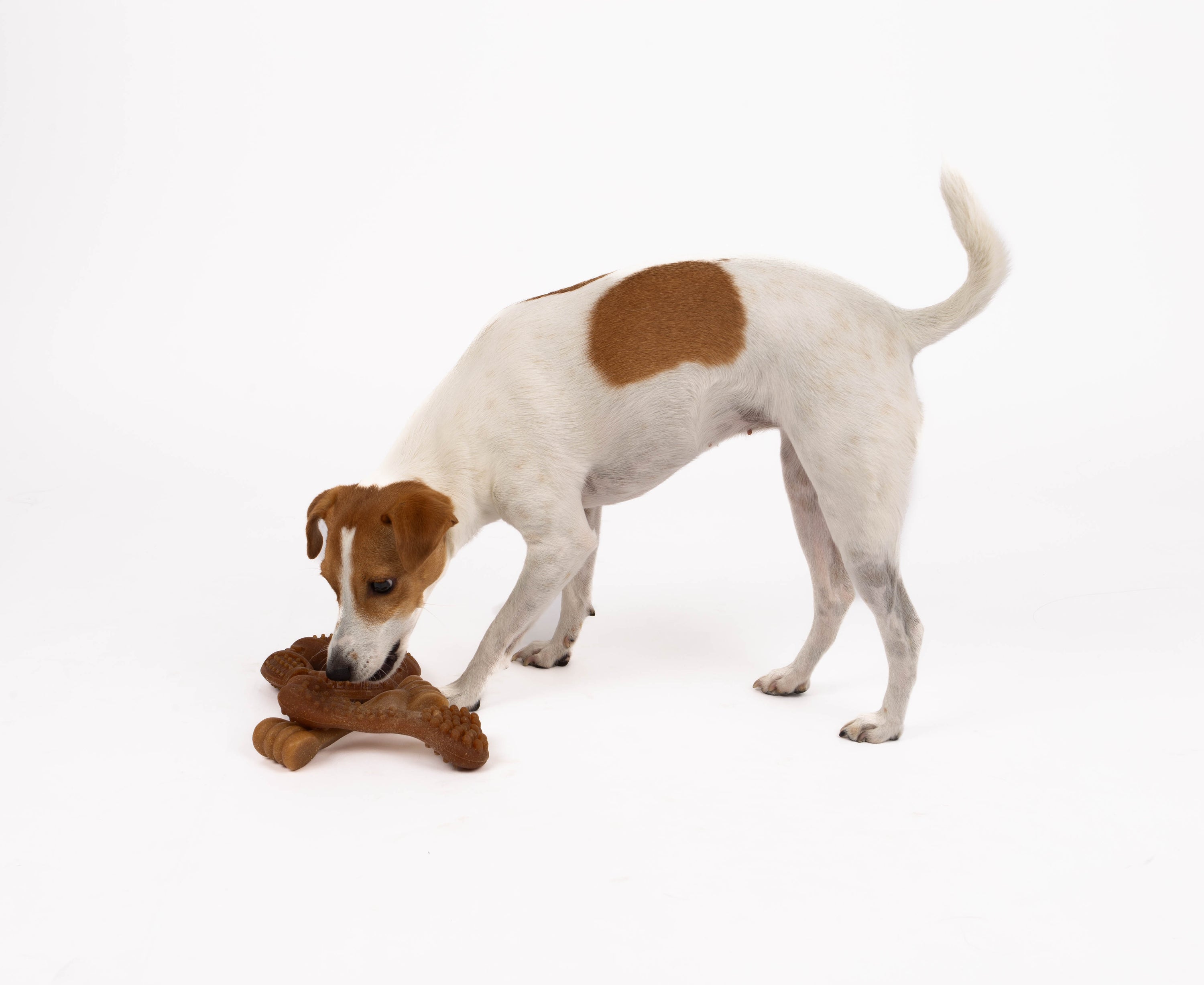 Bambooz 3 Pack Bamboo Dog Toy - Small