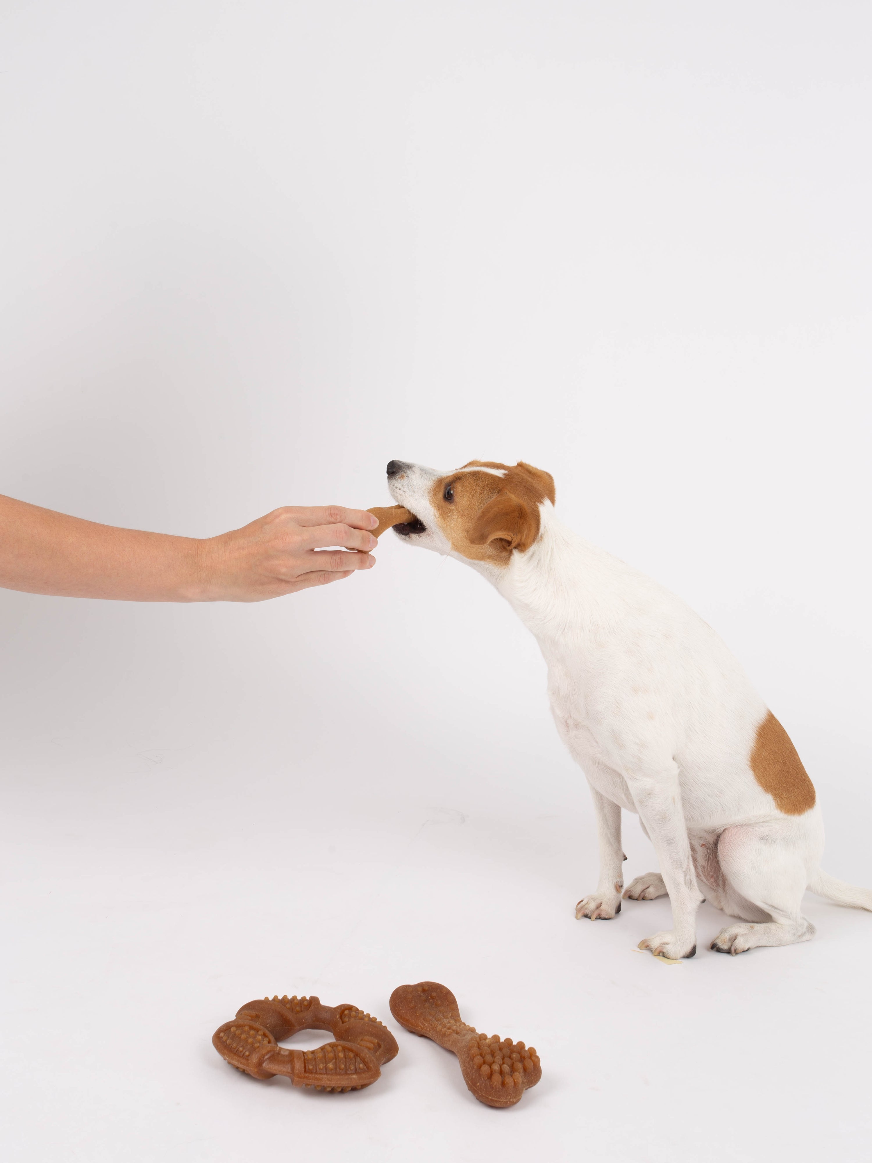 Bambooz 3 Pack Bamboo Dog Toy - Small