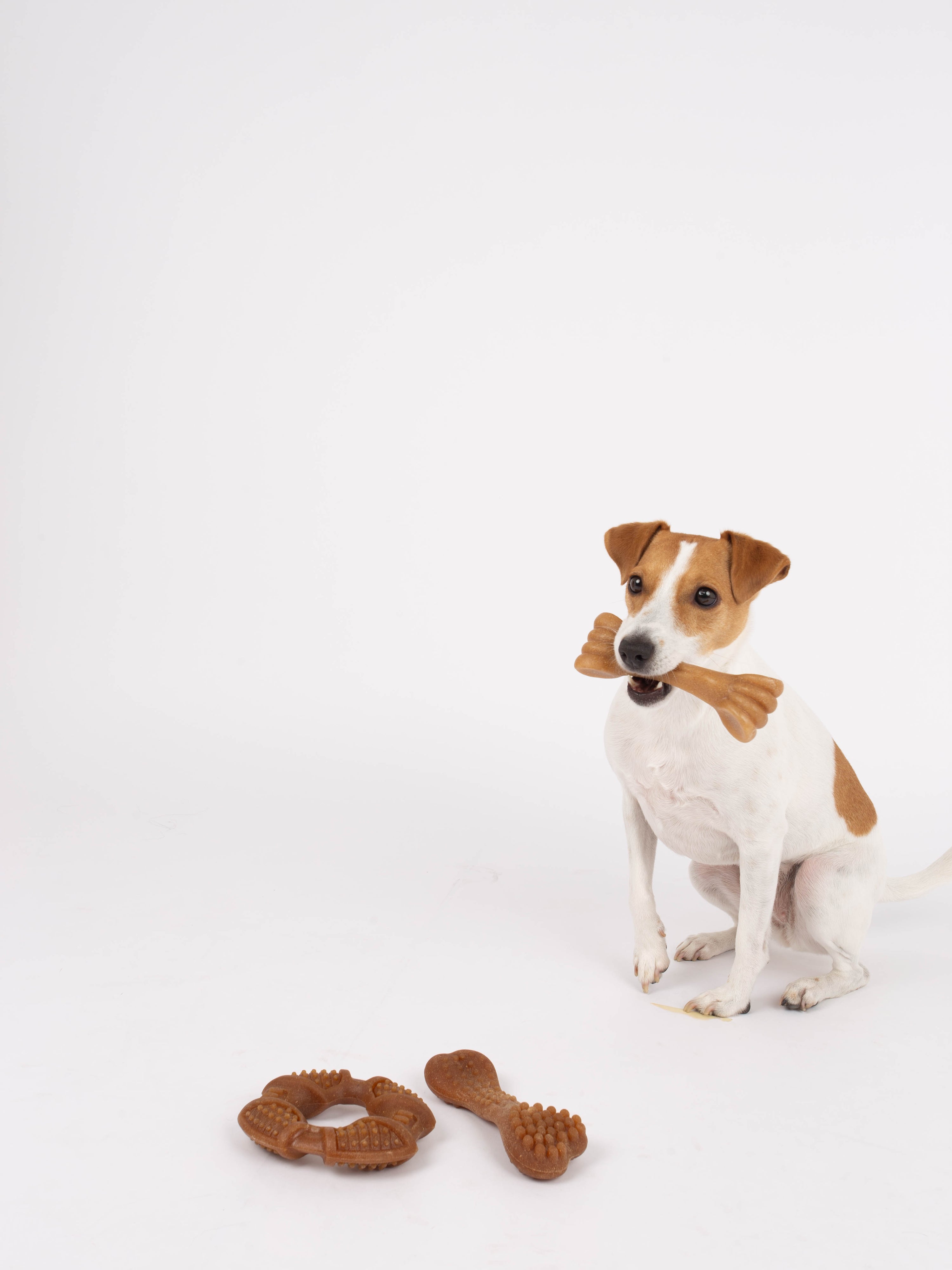 Bambooz 3 Pack Bamboo Dog Toy - Small