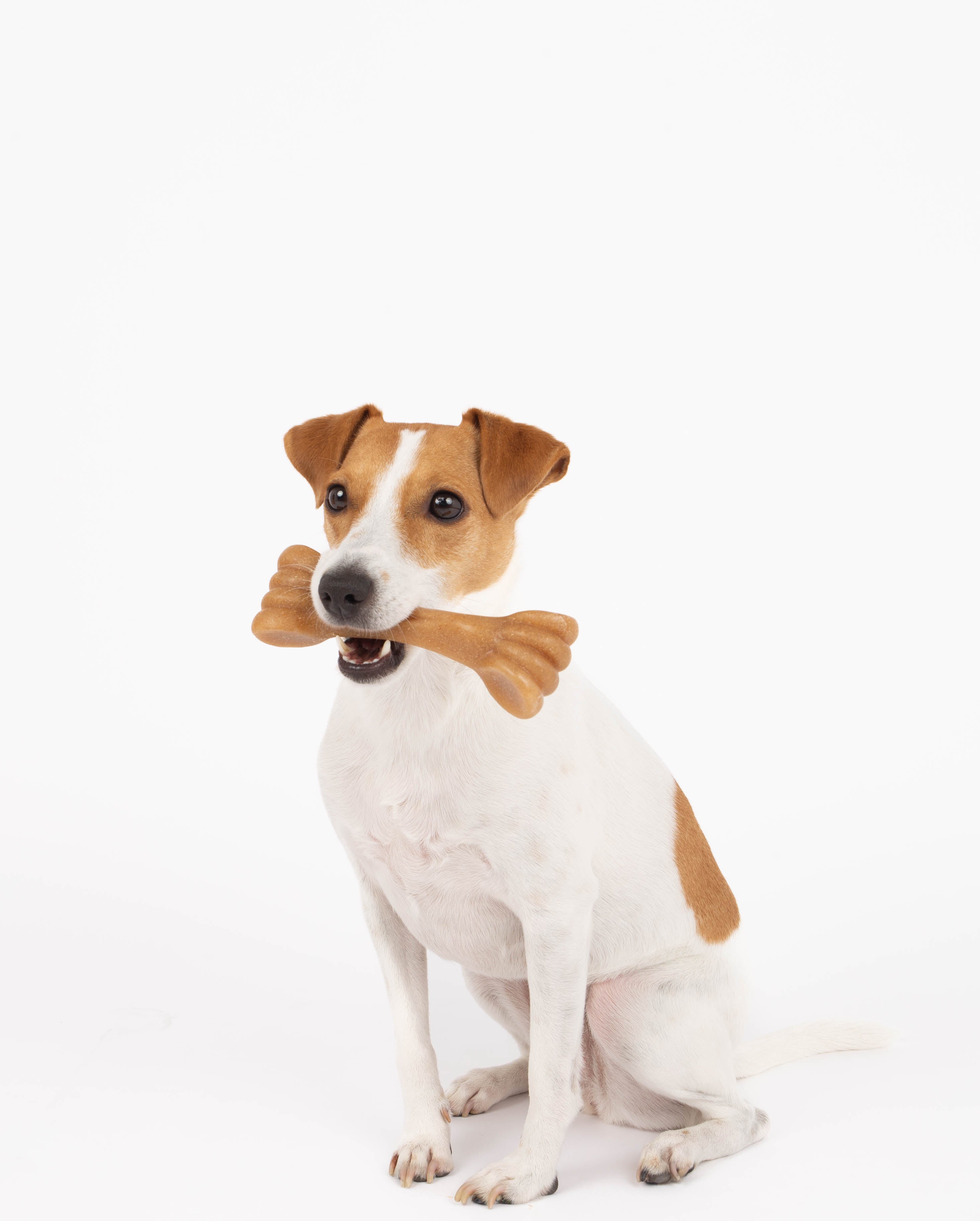 Bambooz 3 Pack Bamboo Dog Toy - Small