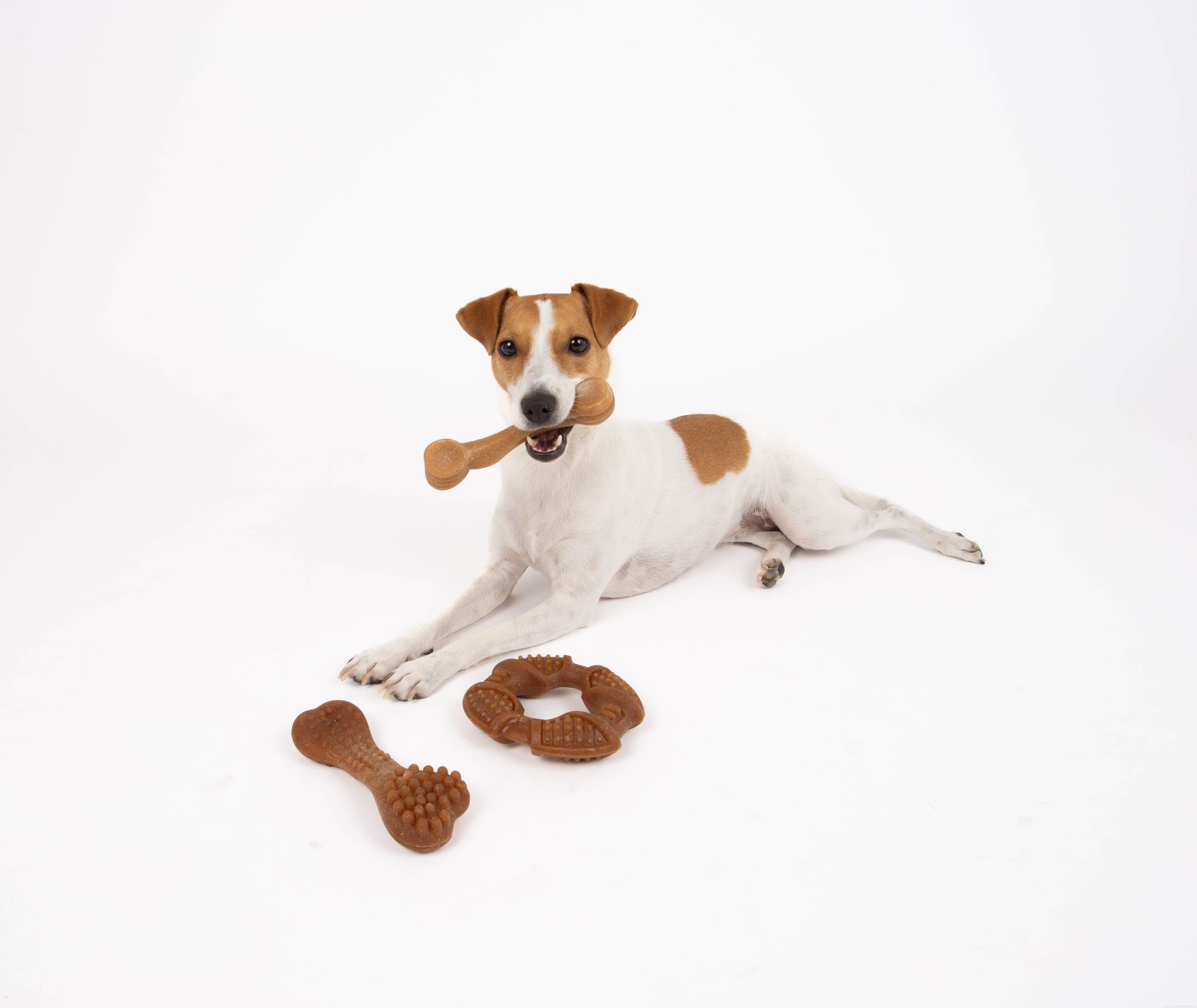 Bambooz 3 Pack Bamboo Dog Toy - Small