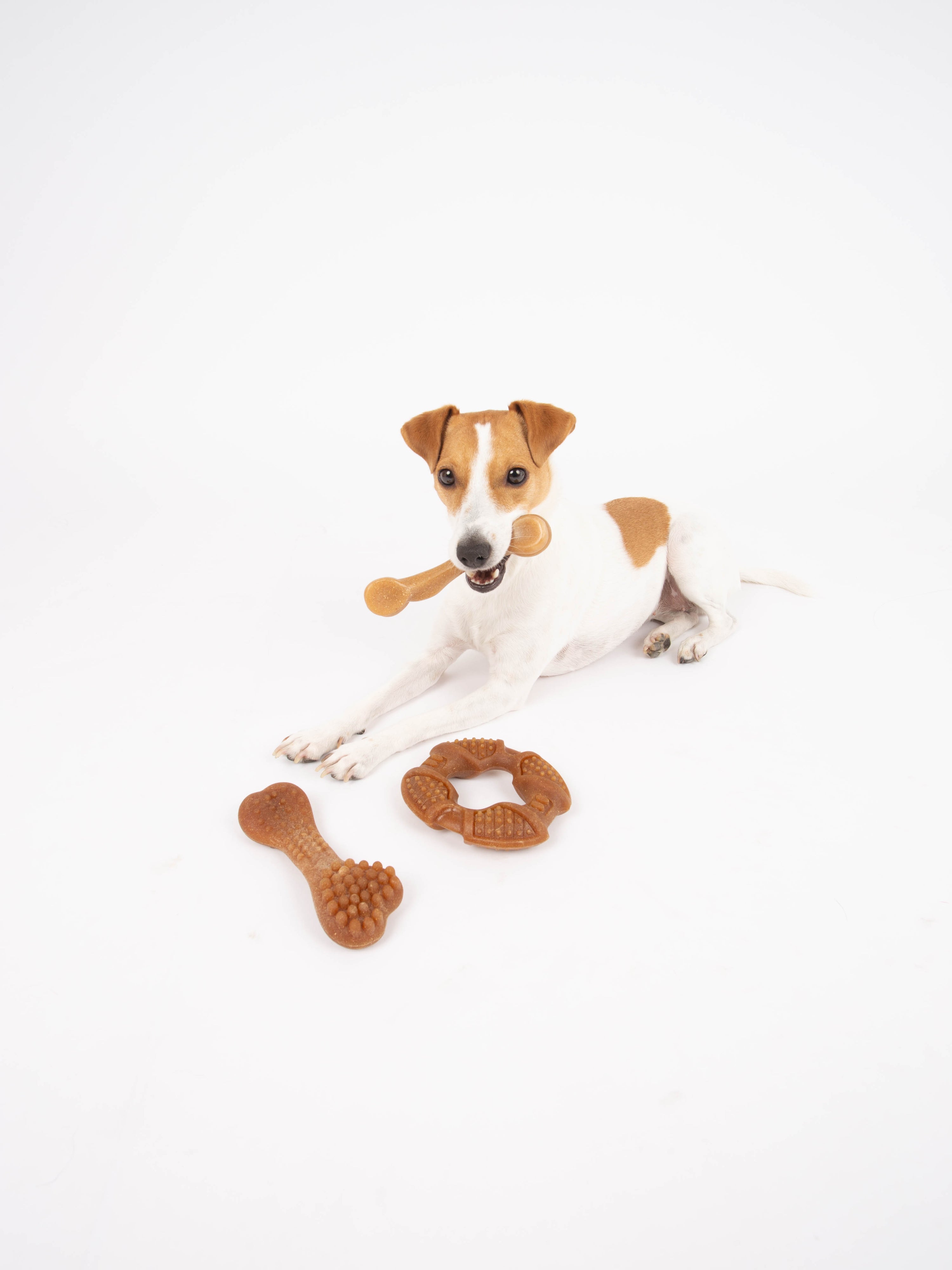 Bambooz 3 Pack Bamboo Dog Toy - Small