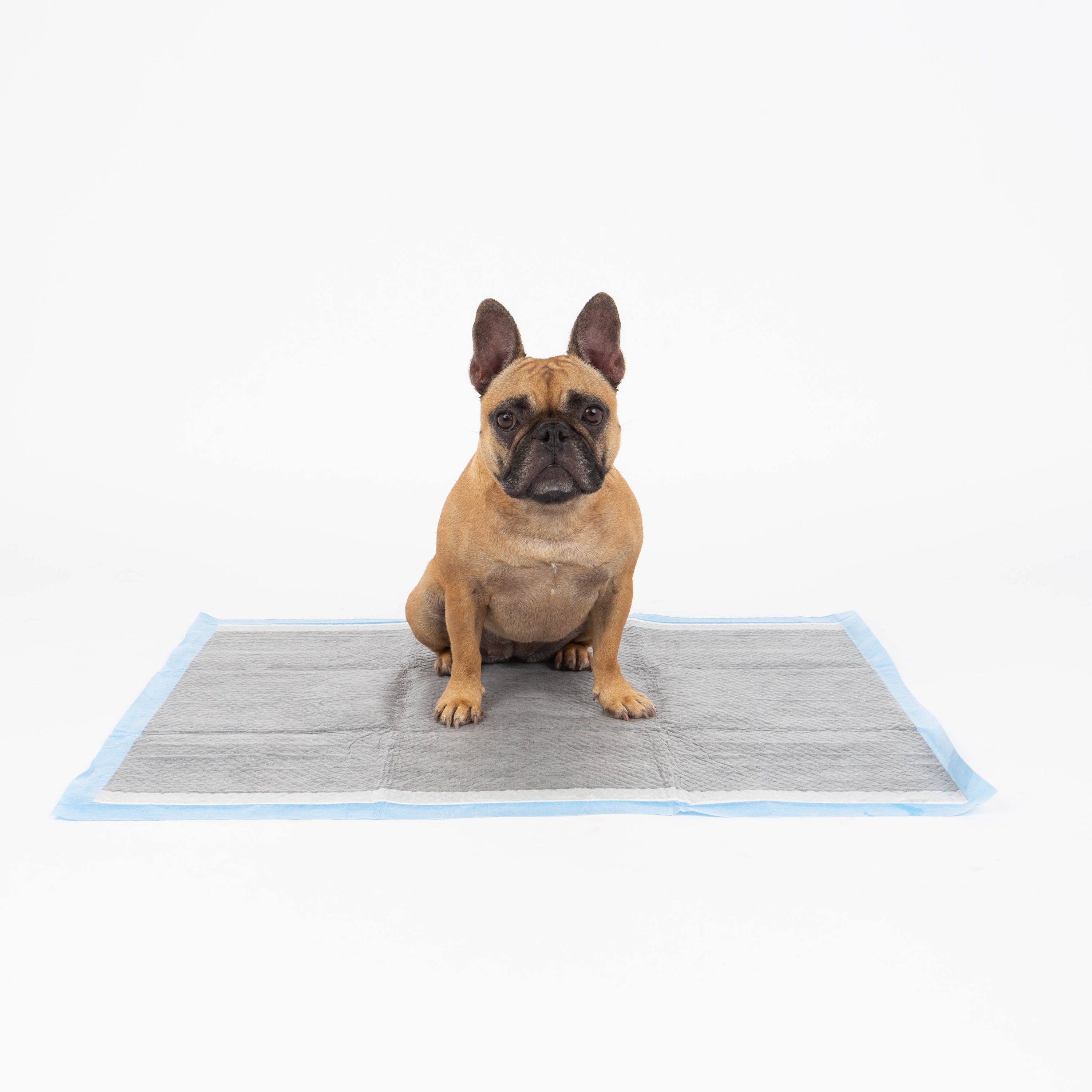 Bamboo Charcoal Traning Pads - 25 or 50 - High Quality Pads