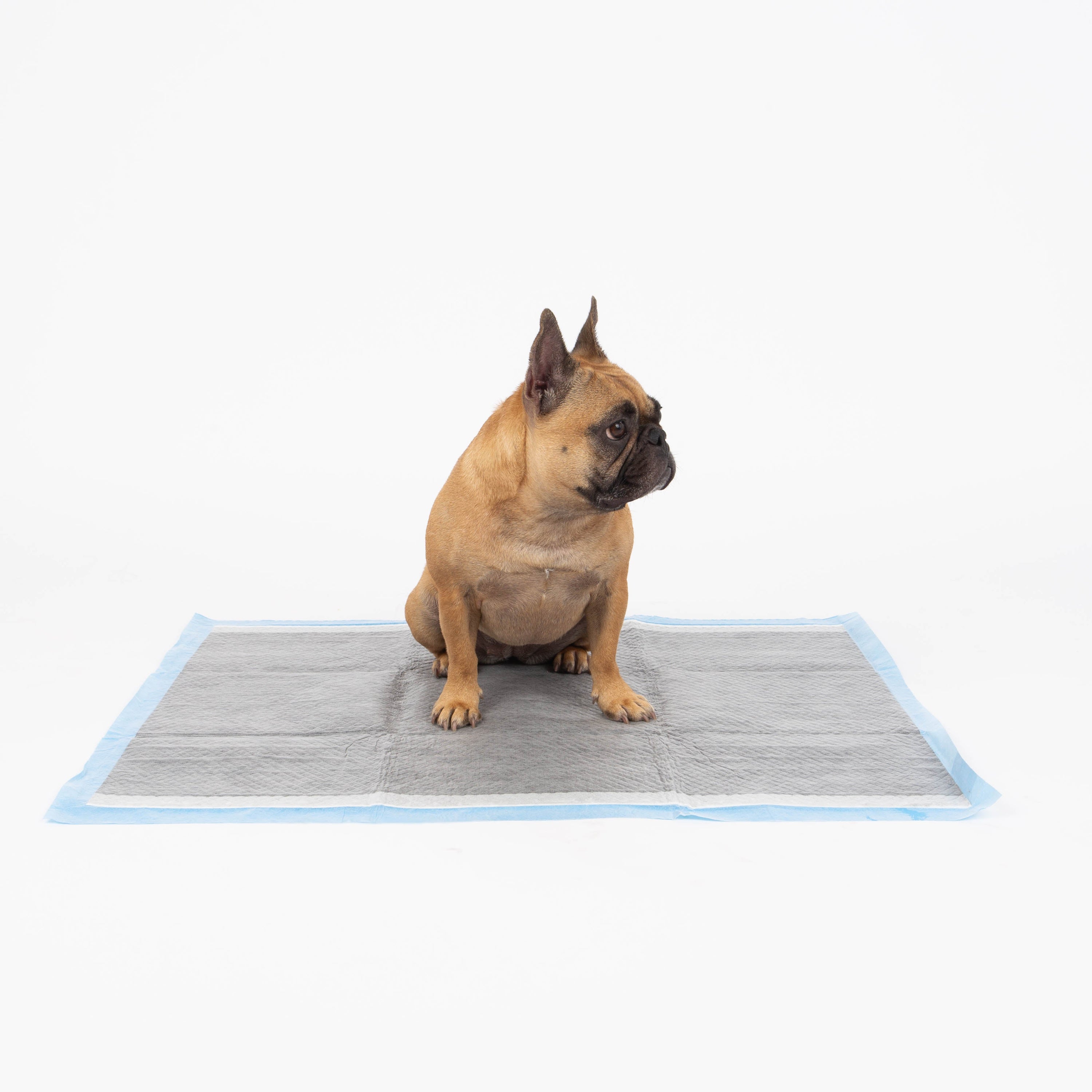 Bamboo Charcoal Traning Pads - 25 or 50 - High Quality Pads