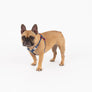 Maximus Silicon Navy Harness
