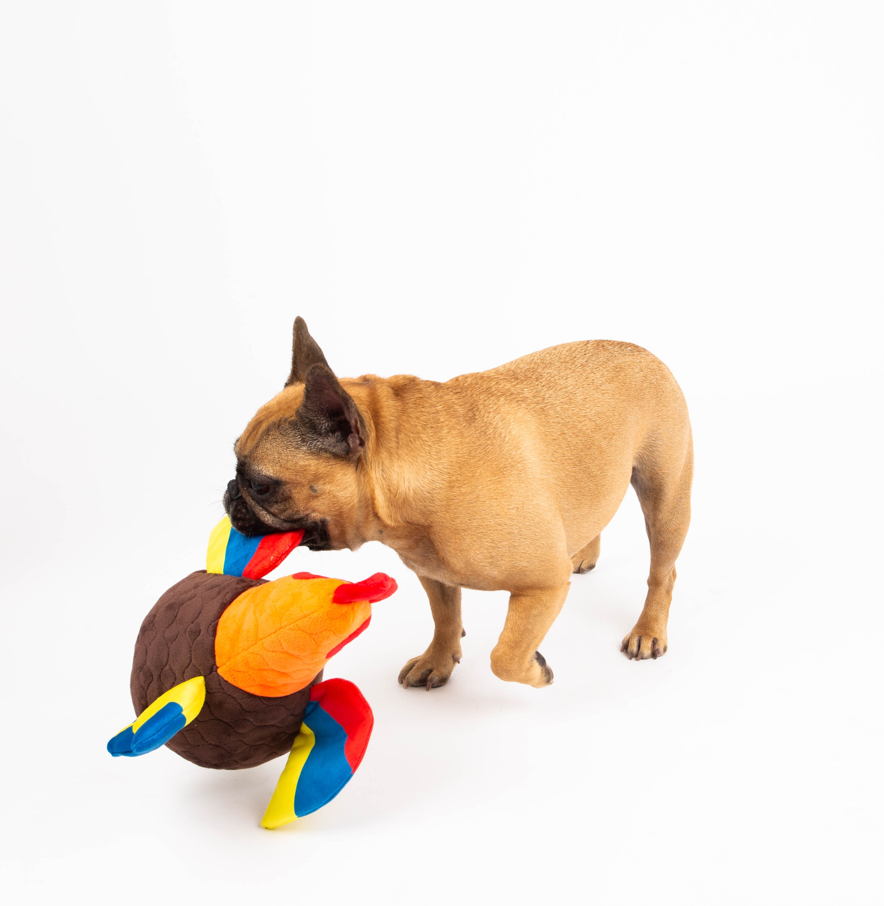 Seemz Heavy Duty Stitched Farm Animals  Dog Toy  - Rooster