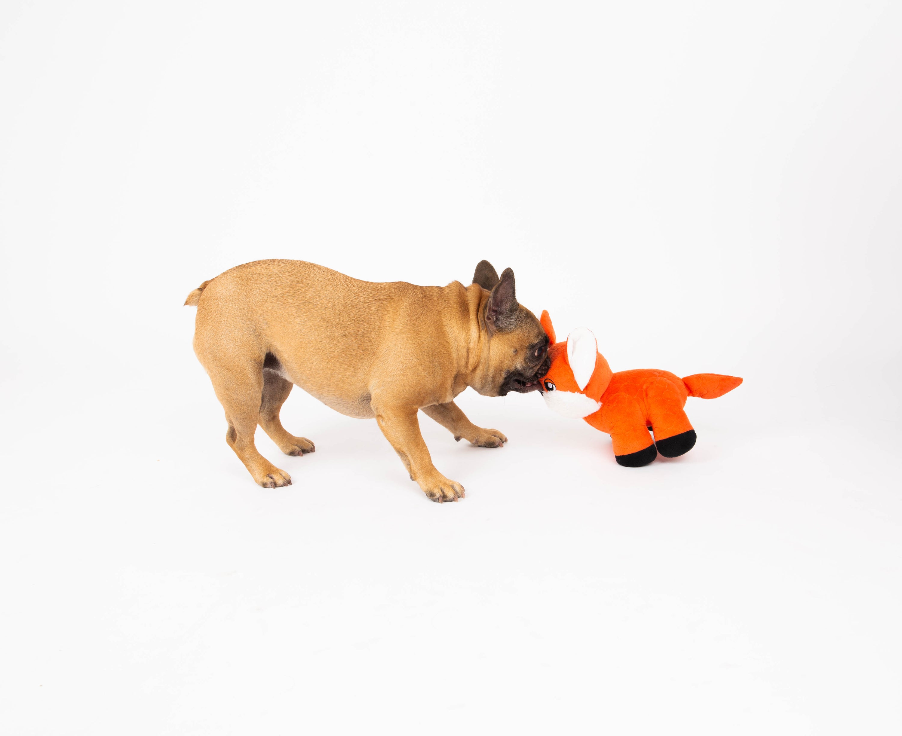 Seemz Heavy Duty Stitched Farm Animals  Dog Toy  - Fox