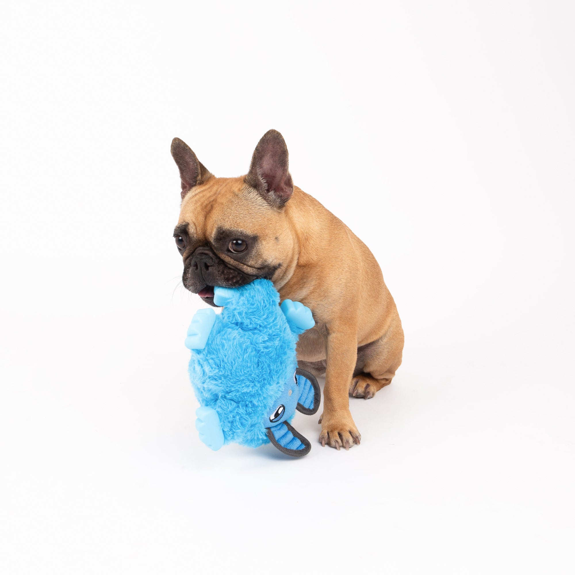 Blue Troll Dog Toy, Mythical Friends Line, Plush
