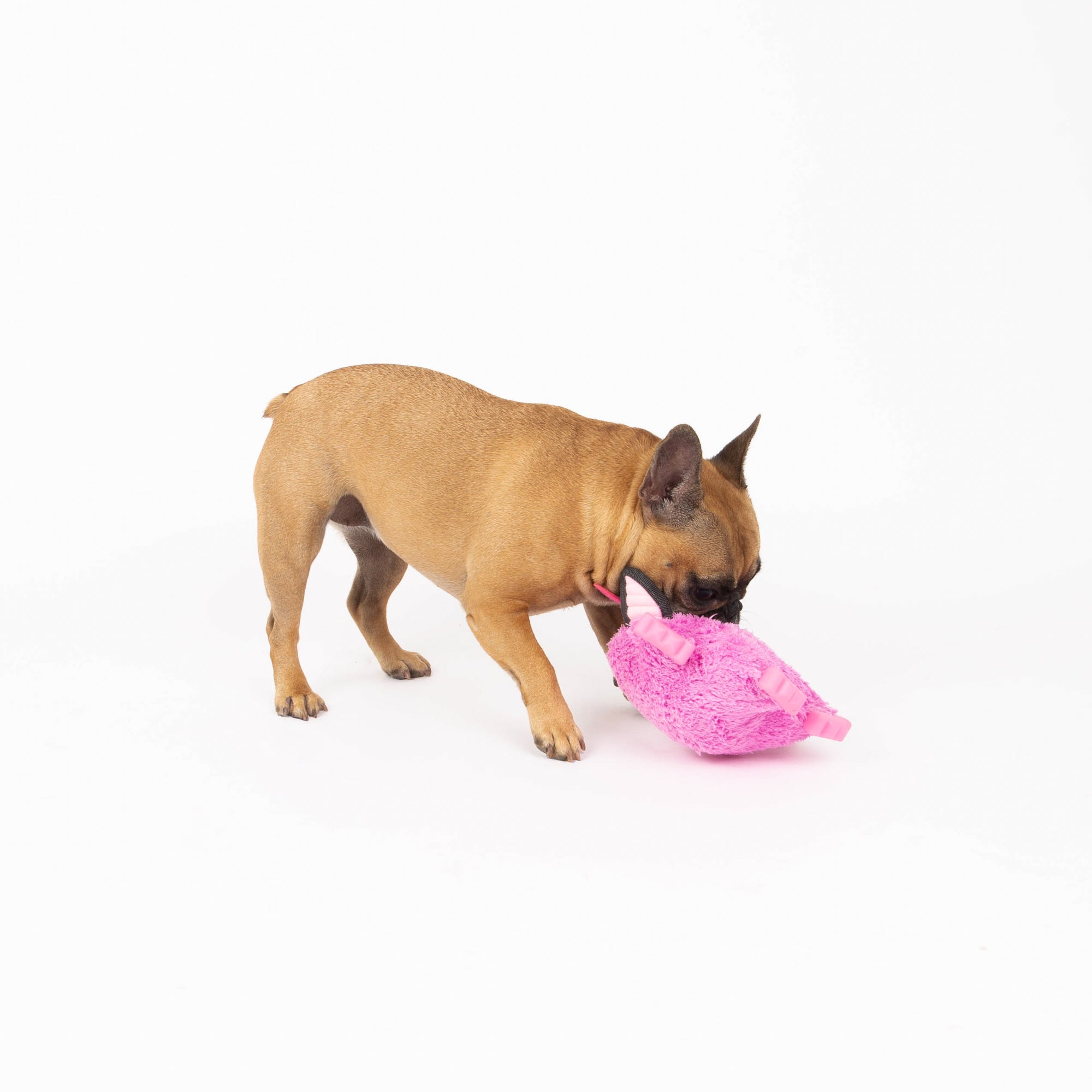 Pink Troll Dog Toy, Mythical Friends Line, Plush