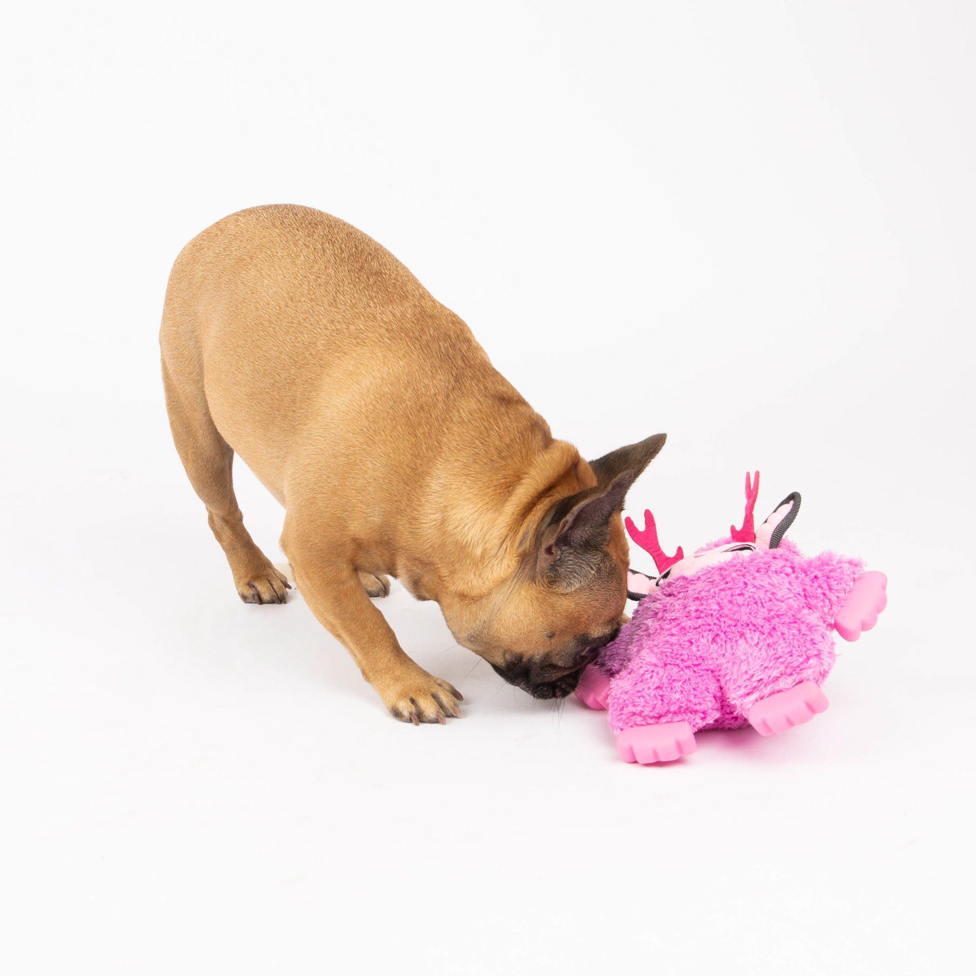 Pink Troll Dog Toy, Mythical Friends Line, Plush