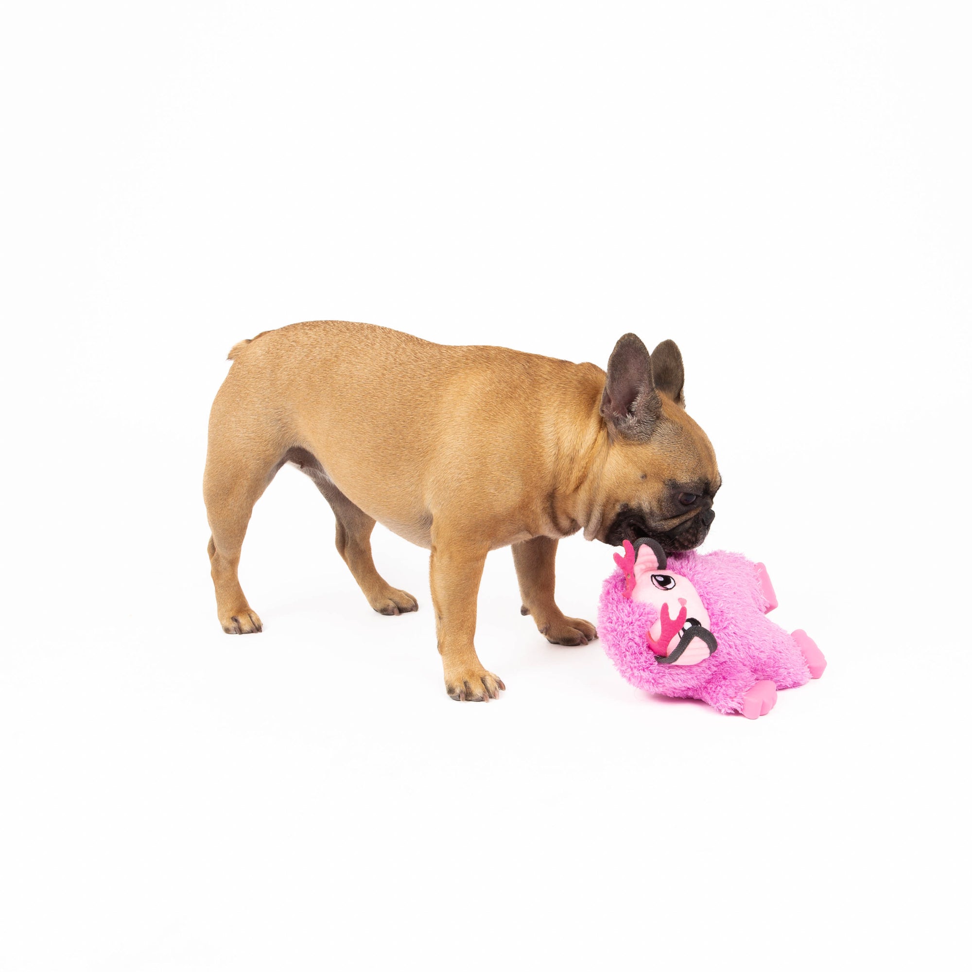 Pink Troll Dog Toy, Mythical Friends Line, Plush