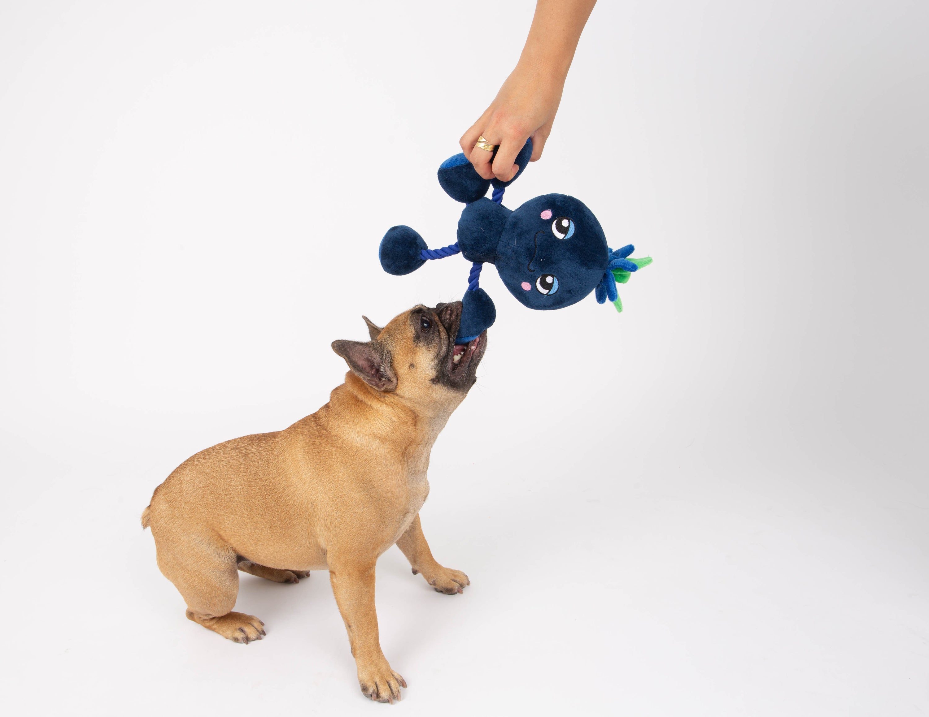 Ropez Rope Body Fruit Friends  Dog Toy - Blue