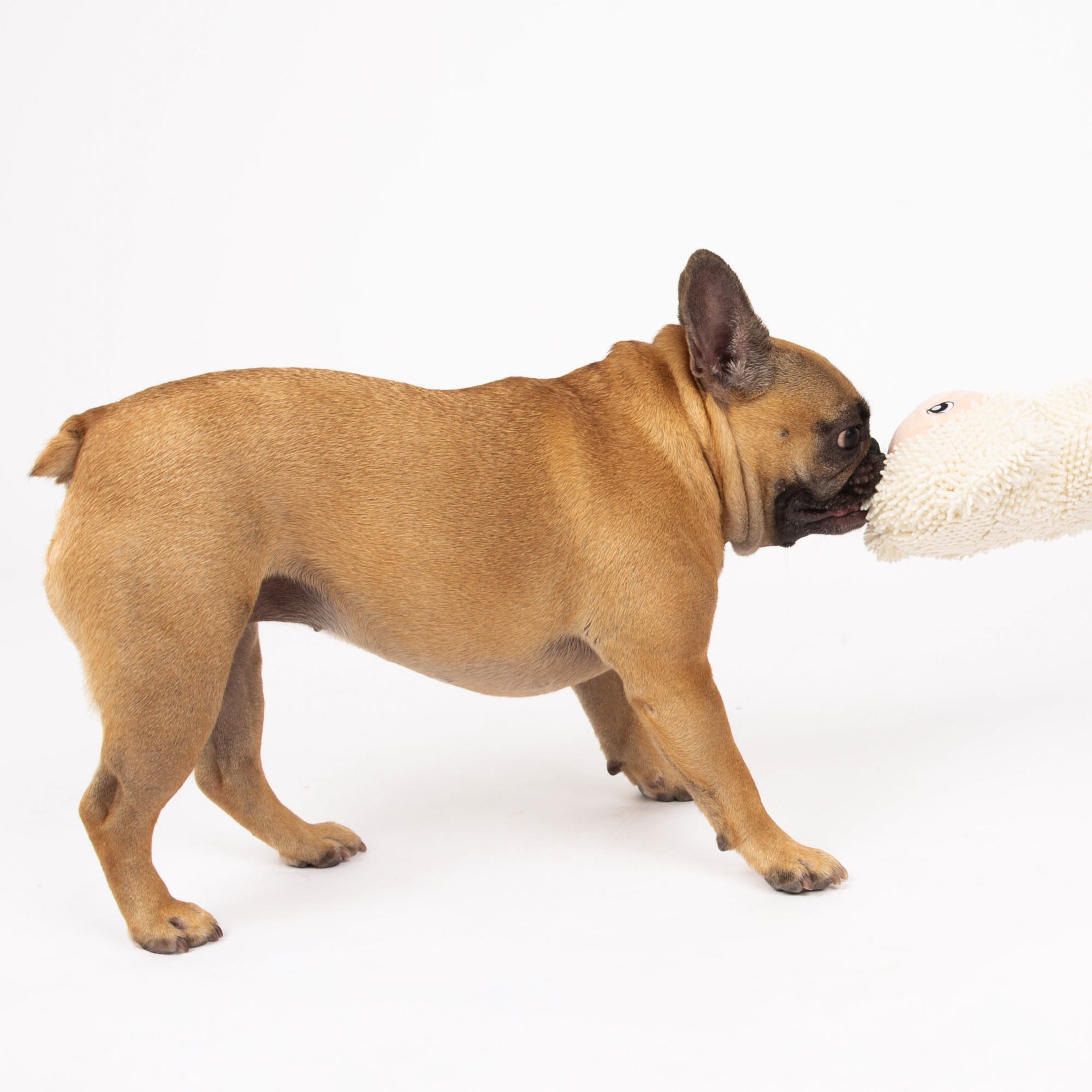 Lam Dog Toy, Farm Animal Line, Plush