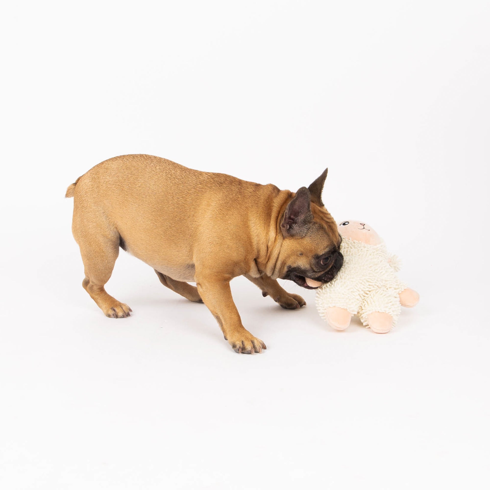 Lam Dog Toy, Farm Animal Line, Plush