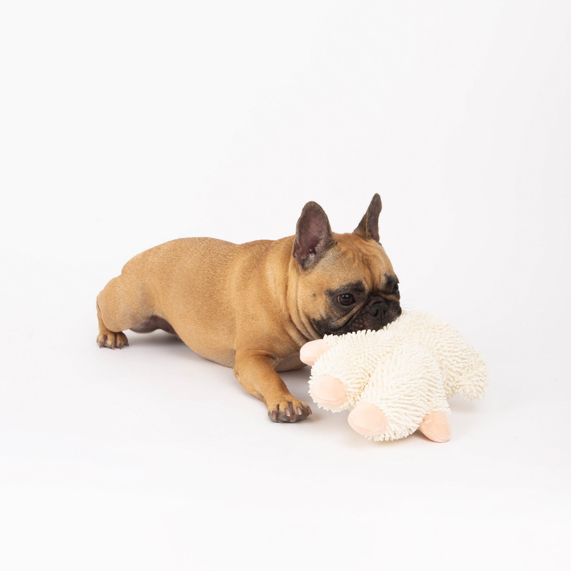 Lam Dog Toy, Farm Animal Line, Plush