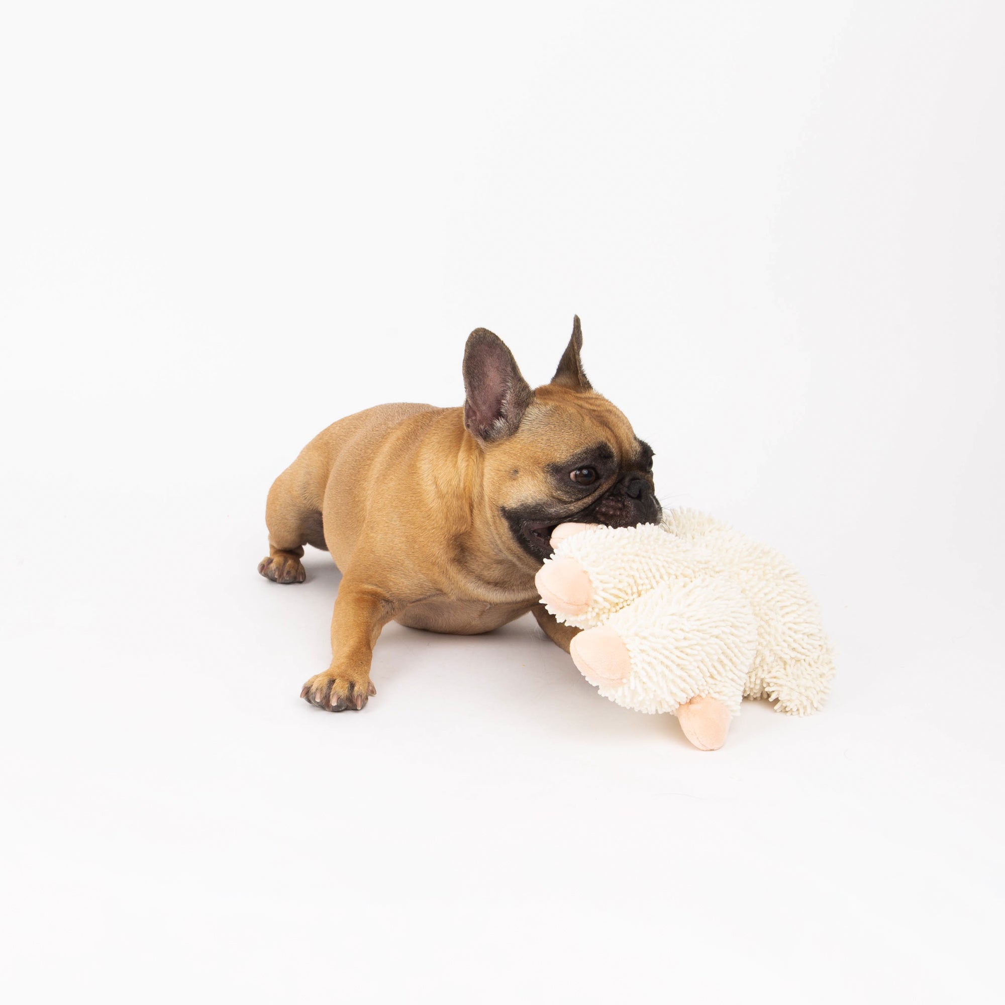 Lam Dog Toy, Farm Animal Line, Plush