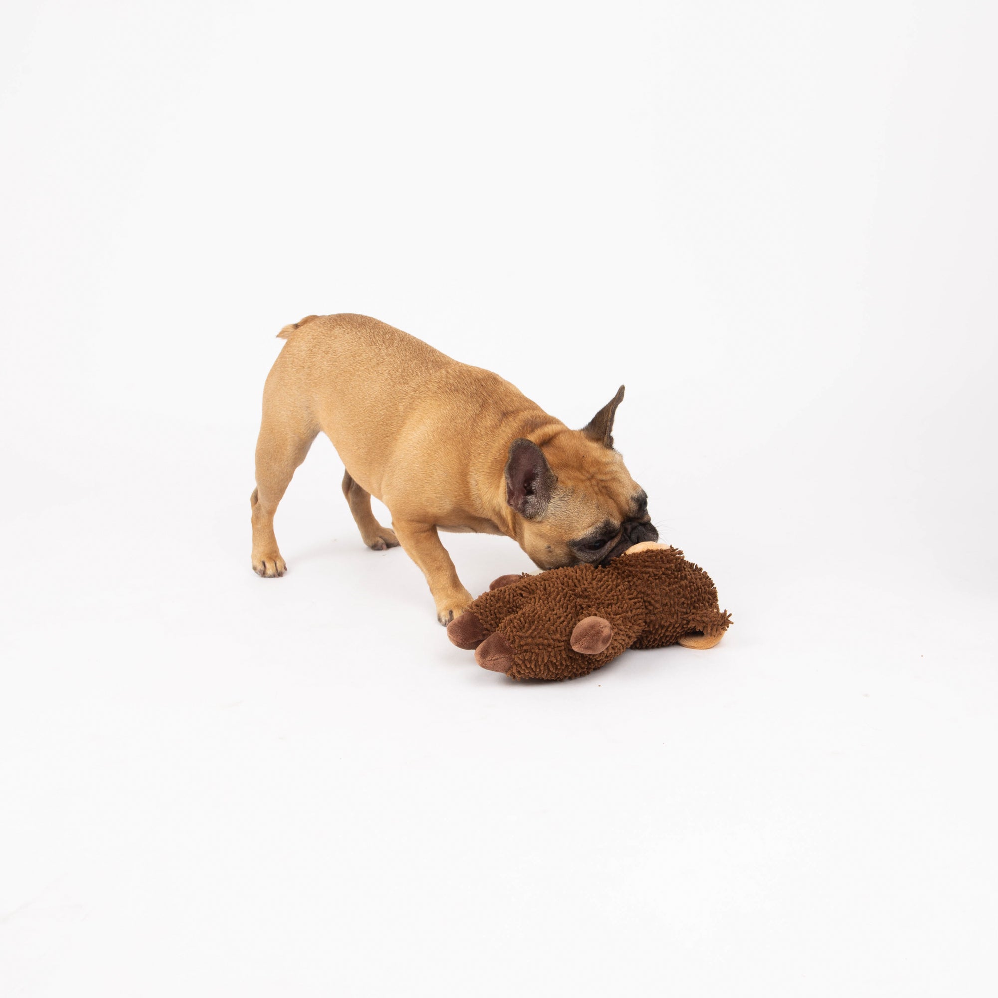 Bull Dog Toy, Farm Animal Line, Plush