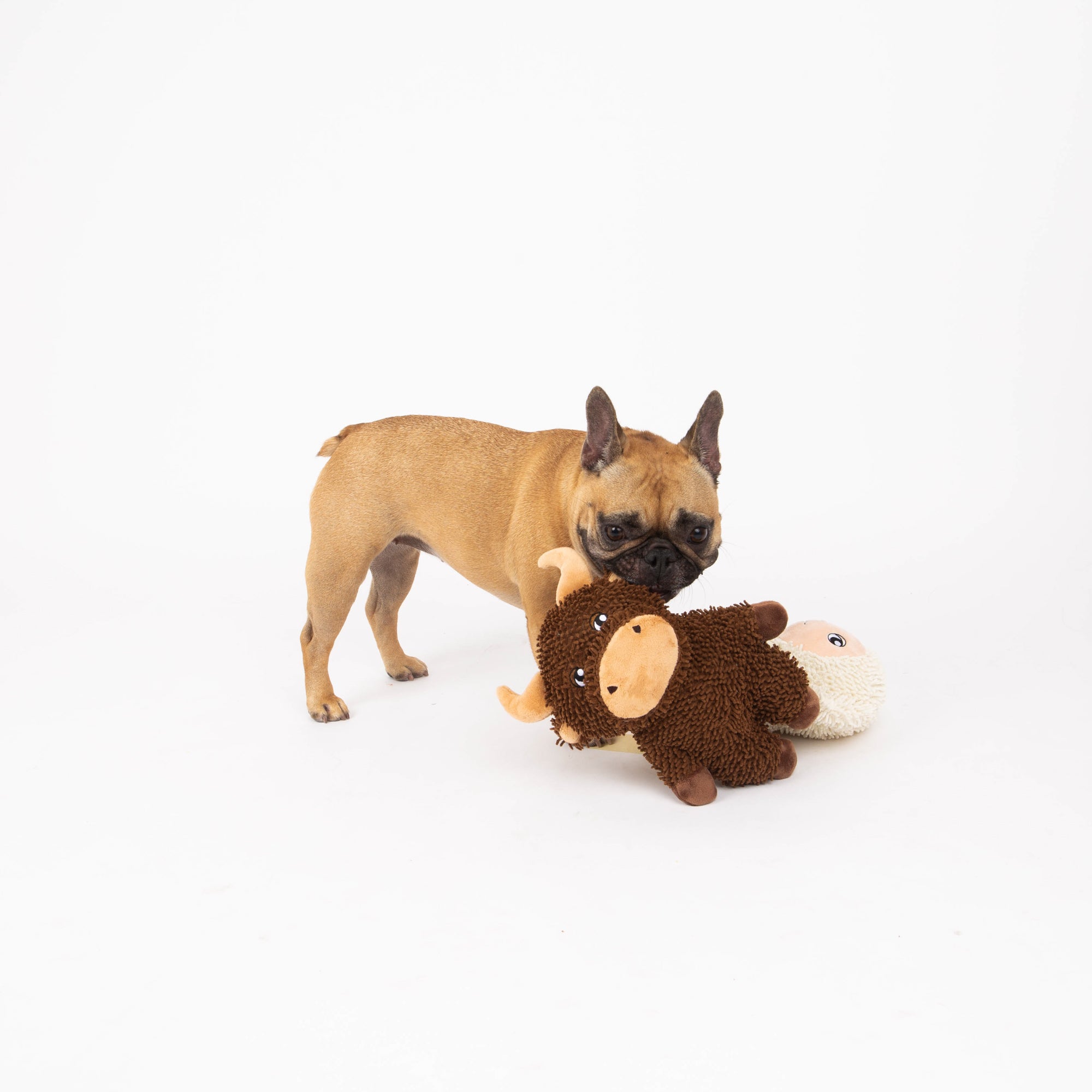 Bull Dog Toy, Farm Animal Line, Plush