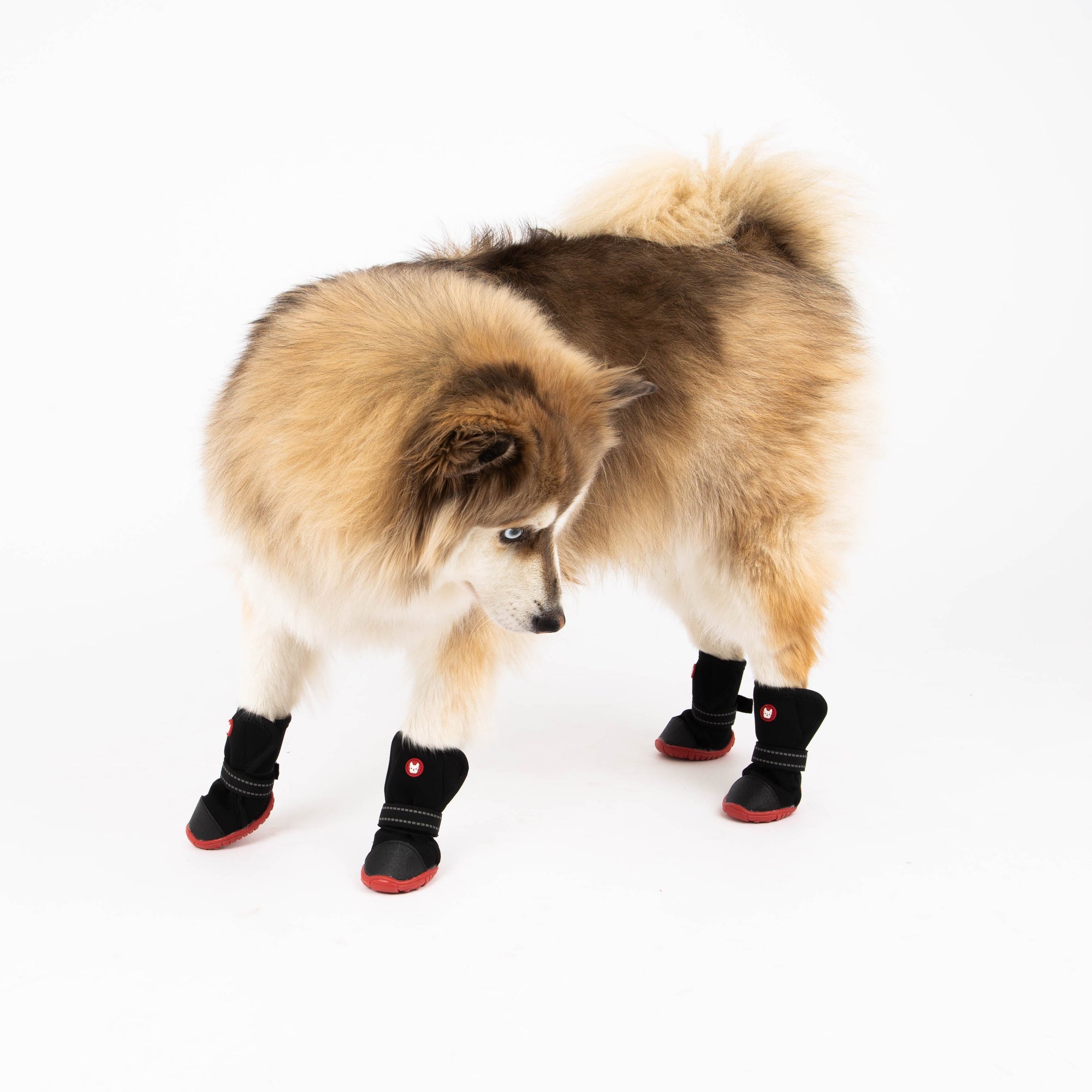 Ren Winter Dog Boots