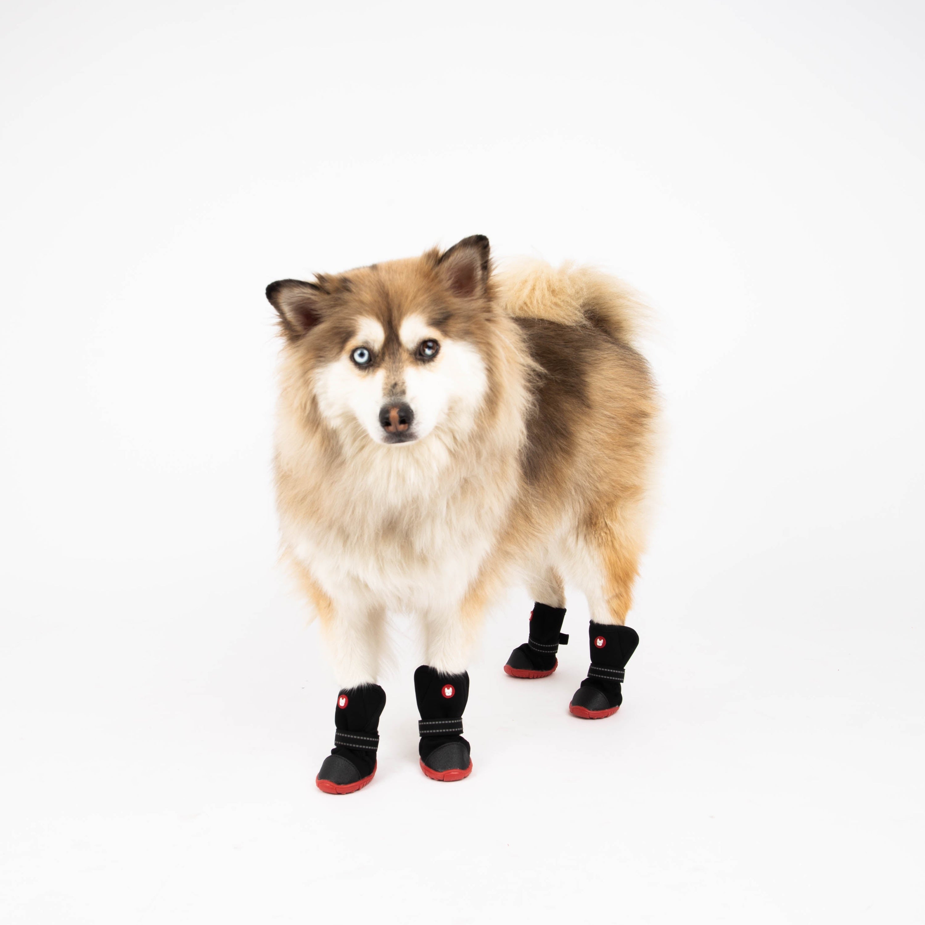 Ren Winter Dog Boots