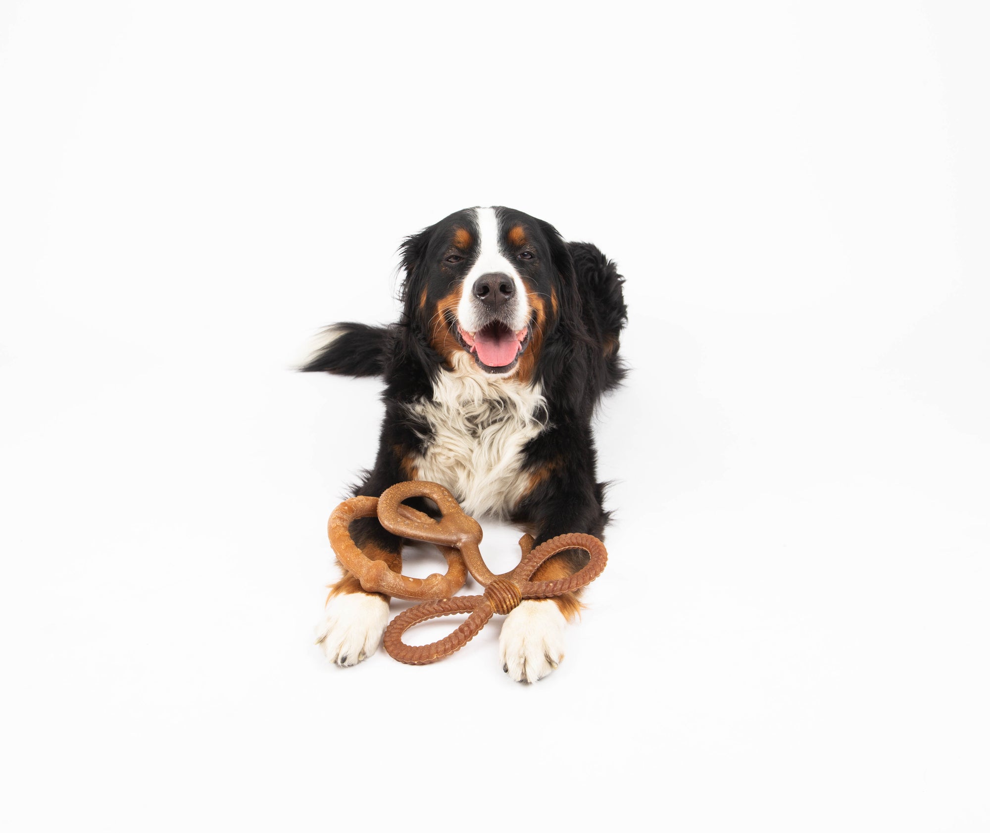 Bambooz 3 Pack Bamboo Dog Toy - Large