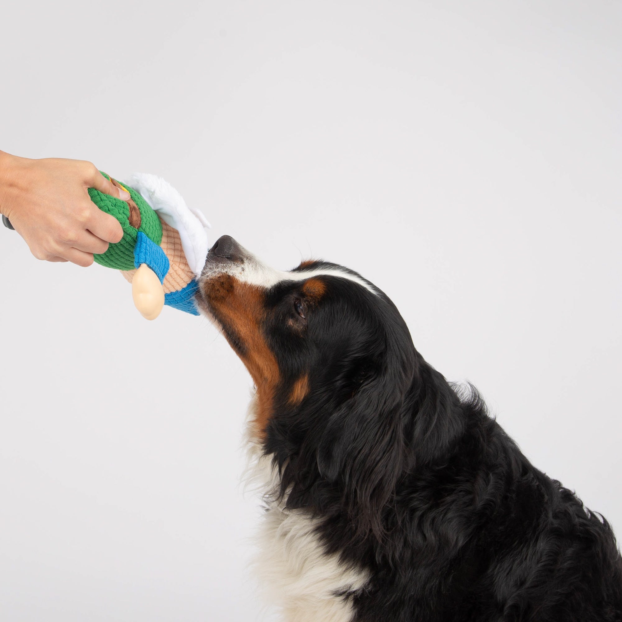 Gnome Dog Toy, Mythical Friends Line, Plush