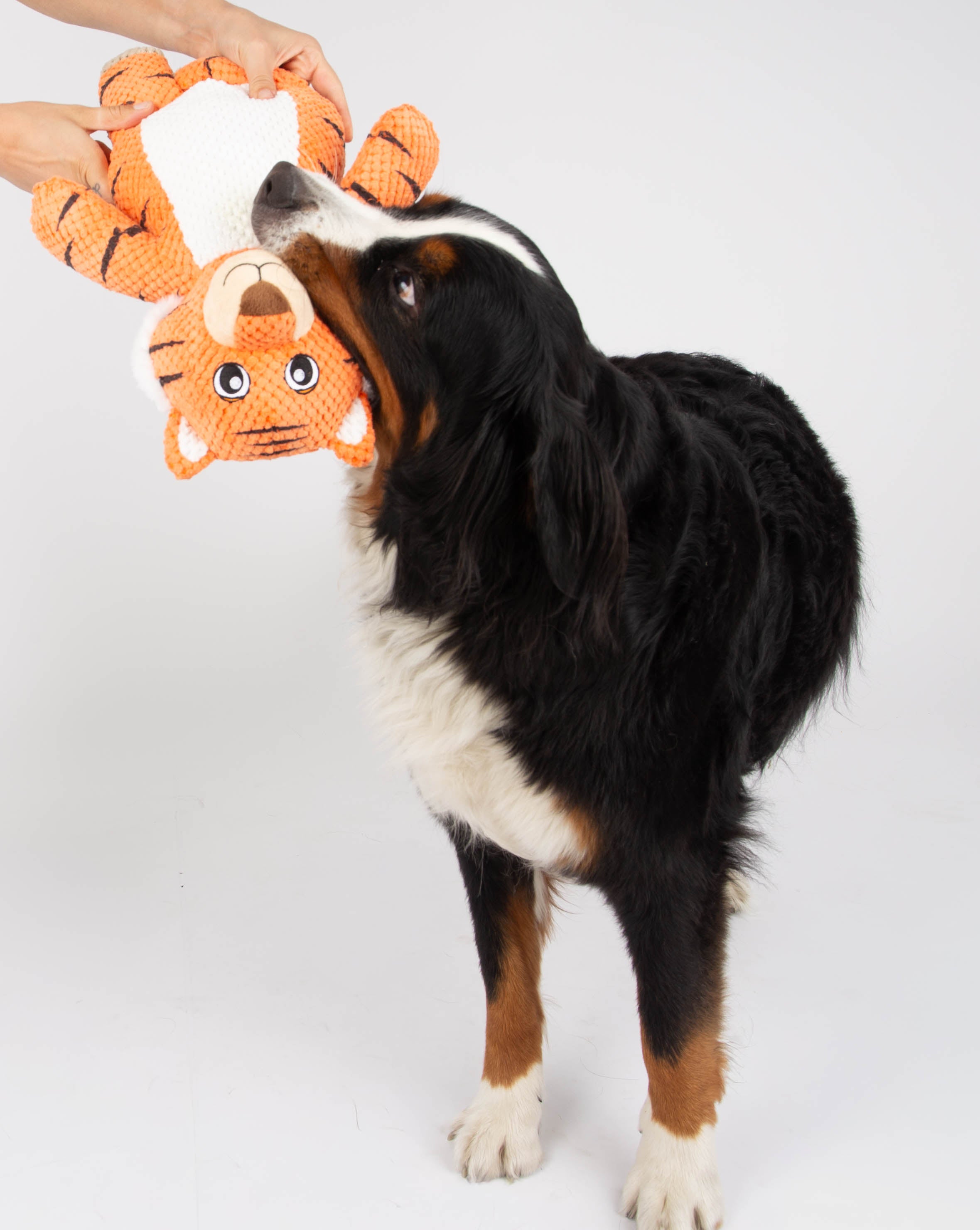 Snugiez Rope Body Jungle Friends  Dog Toy - Tiger