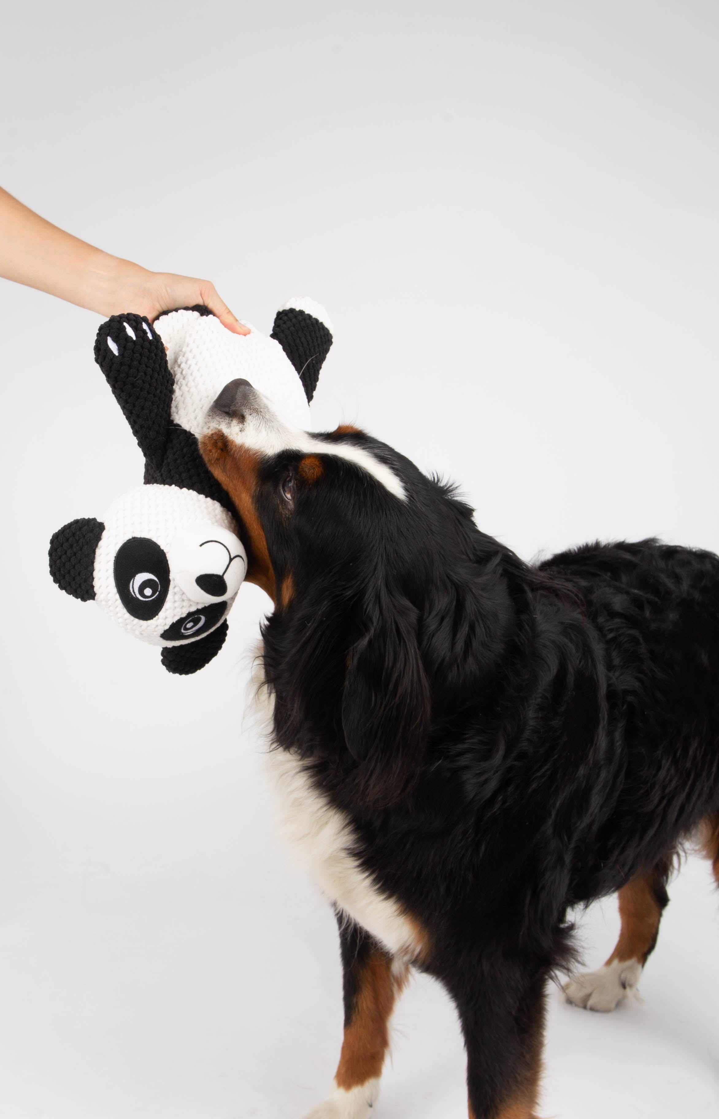 Snugiez Rope Body Jungle Friends  Dog Toy - Panda