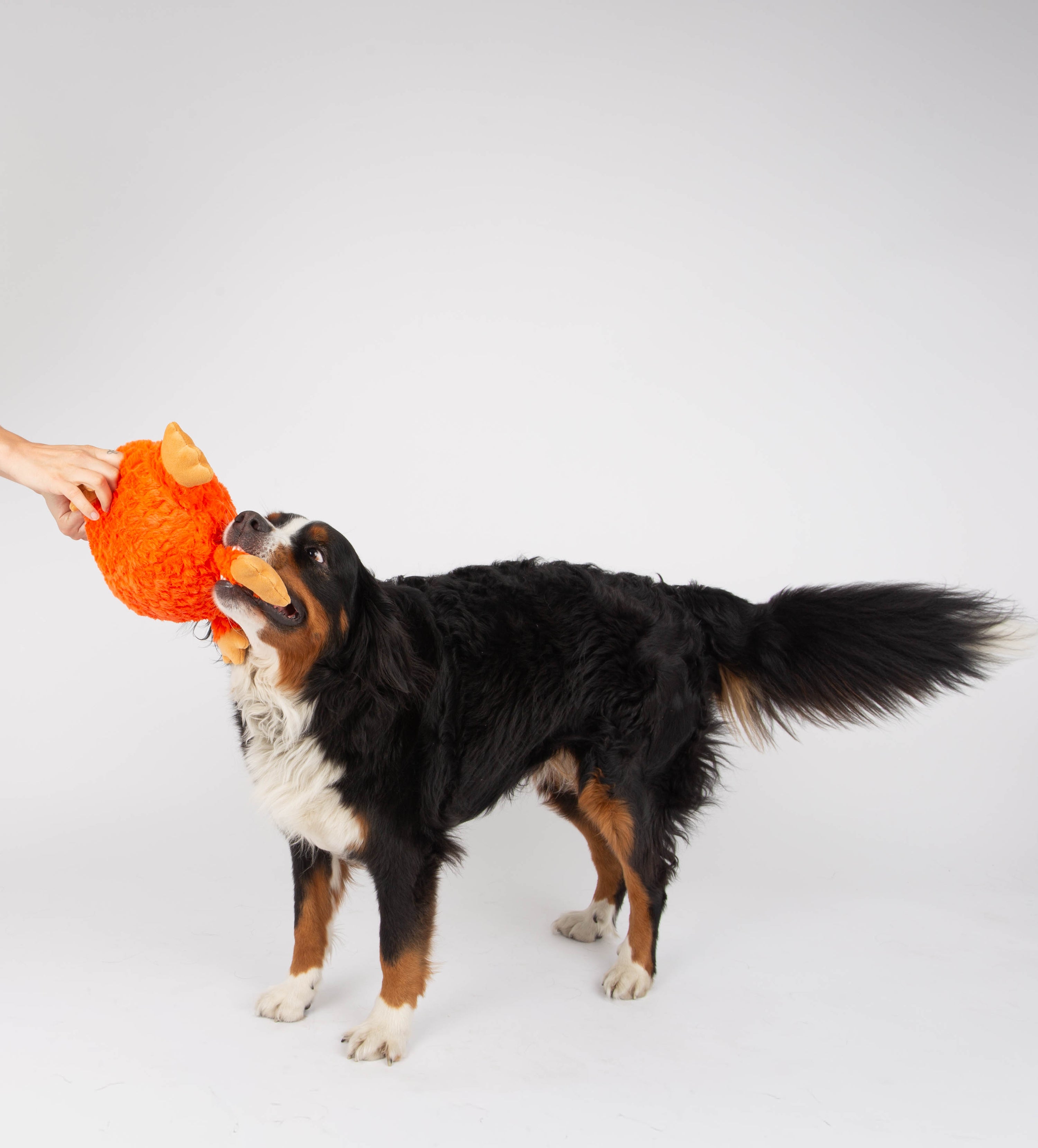 Seemz Heavy Duty Stitched Monster Friend Dog Toy Large - Orange