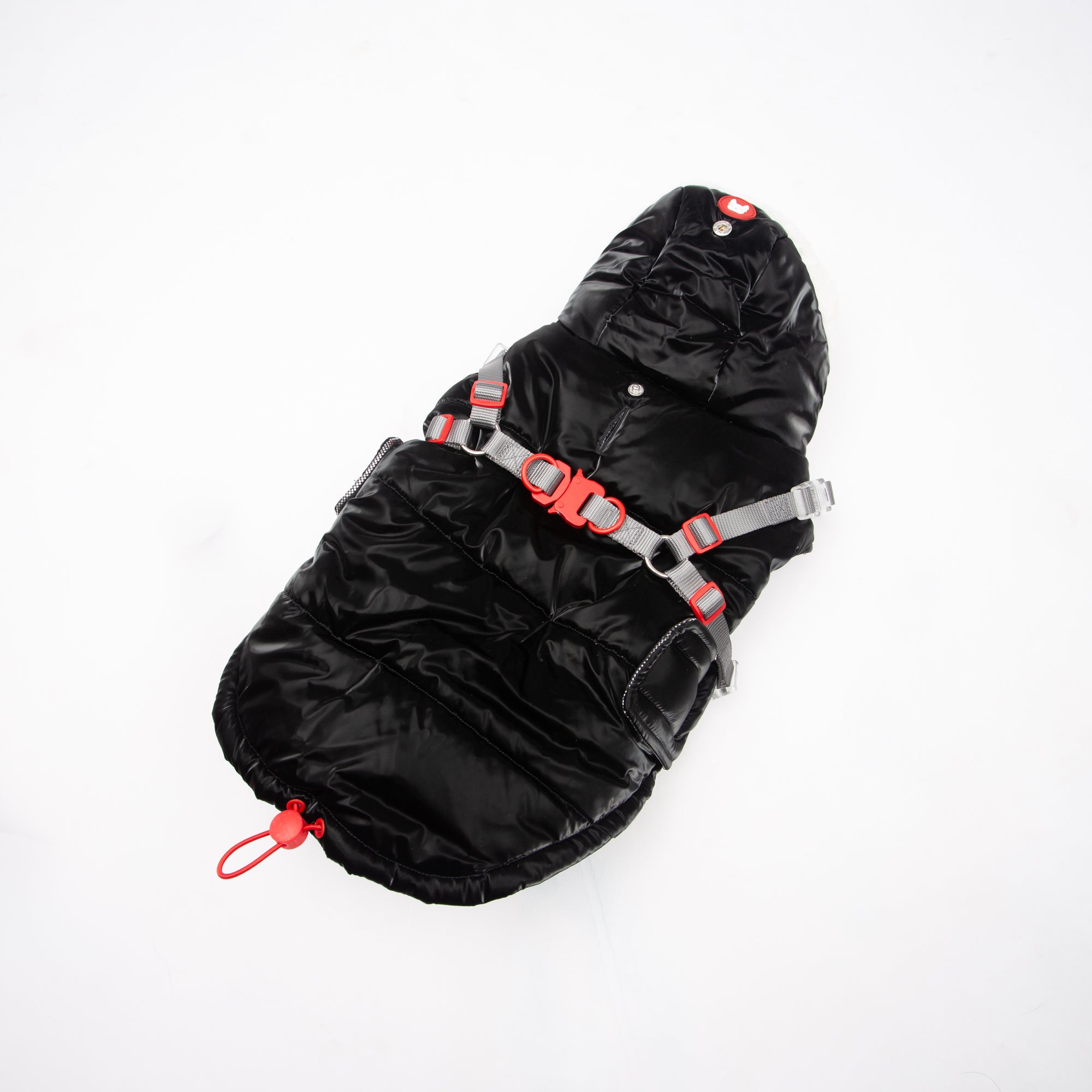 Zara Puffer Dog Jacket