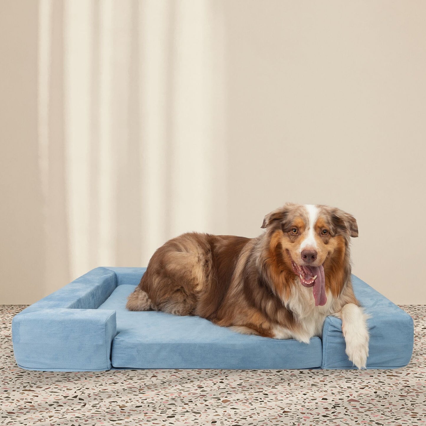 Panier pour chien Juno en mousse à mémoire de forme | Confort et soutien ultimes | Housse lavable
