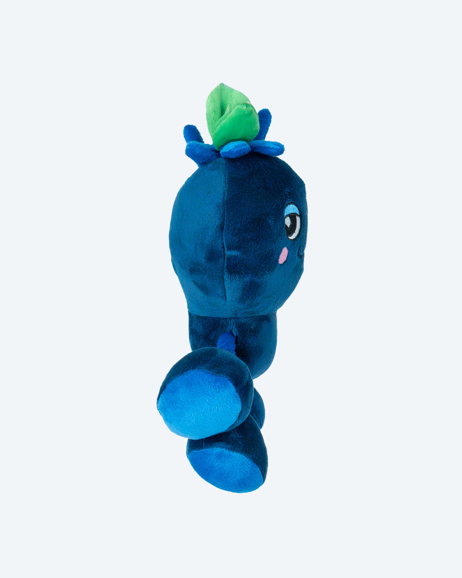 Ropez Rope Body Fruit Friends  Dog Toy - Blue