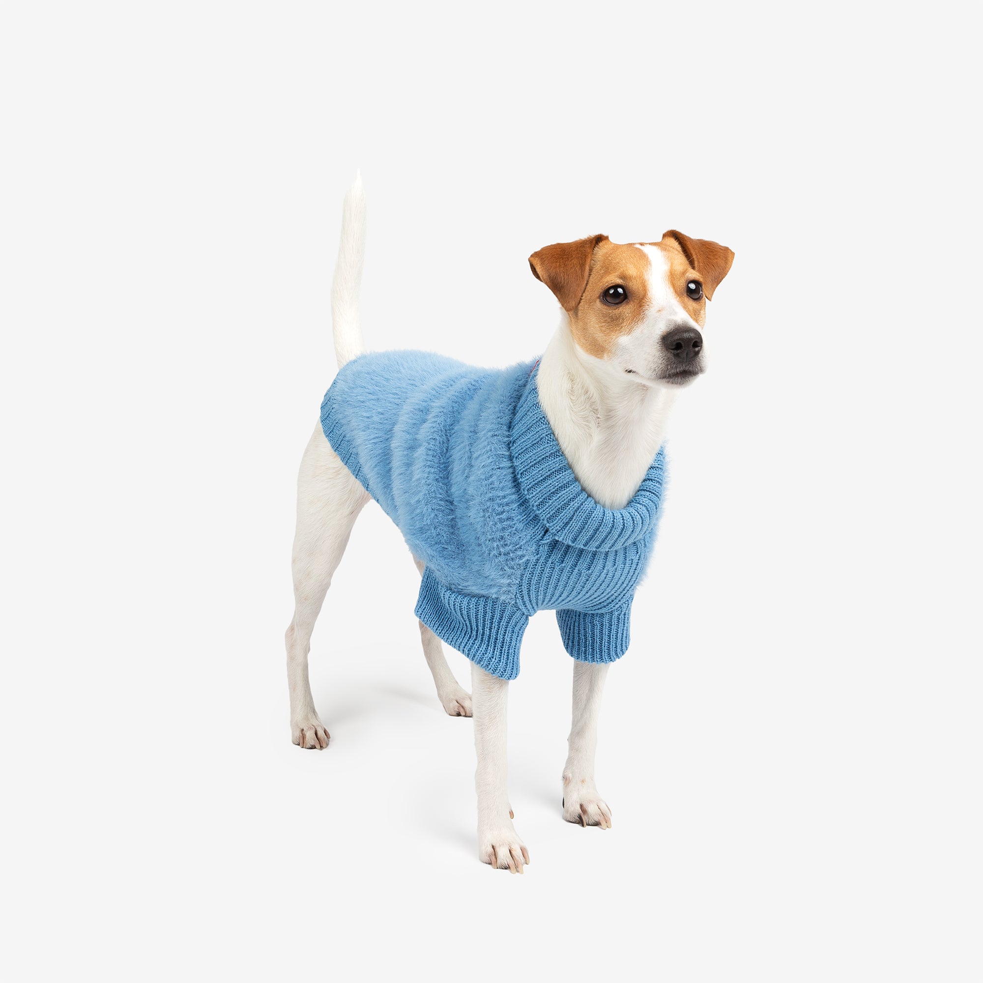 Nora Fashion Knit Dog Jacket  Cozy, Stylish Winter Coat for Dogs | Blue & Lilac
