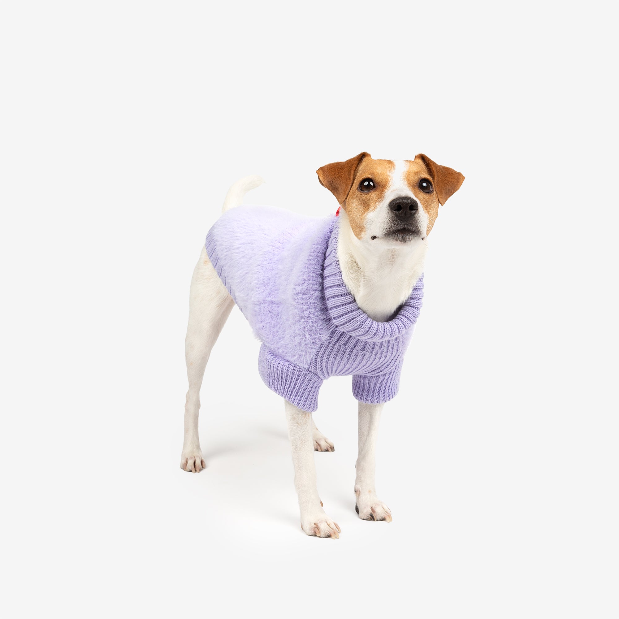 Nora Fashion Knit Dog Jacket  Cozy, Stylish Winter Coat for Dogs | Blue & Lilac