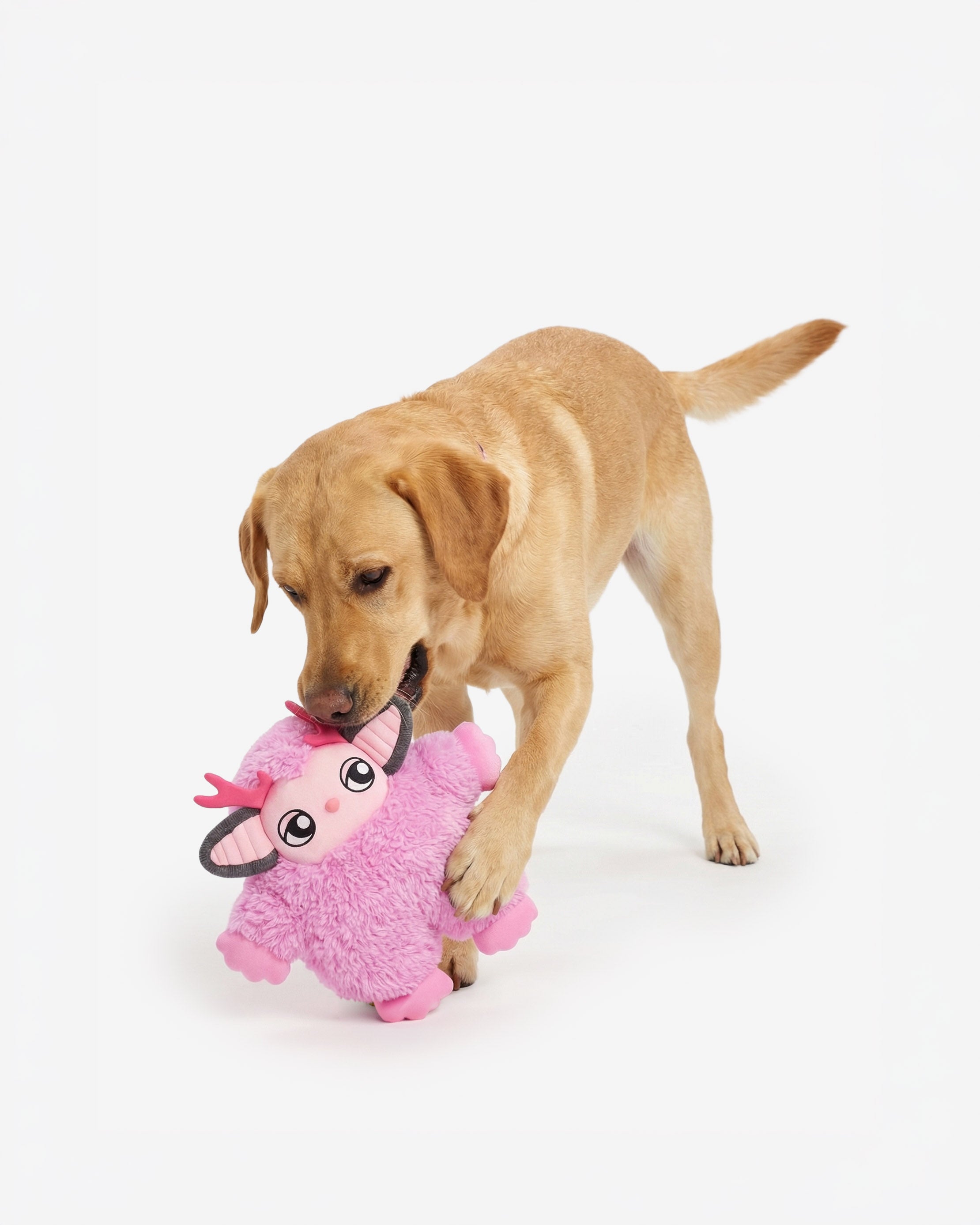 Pink Troll Dog Toy, Mythical Friends Line, Plush – Silver Paw
