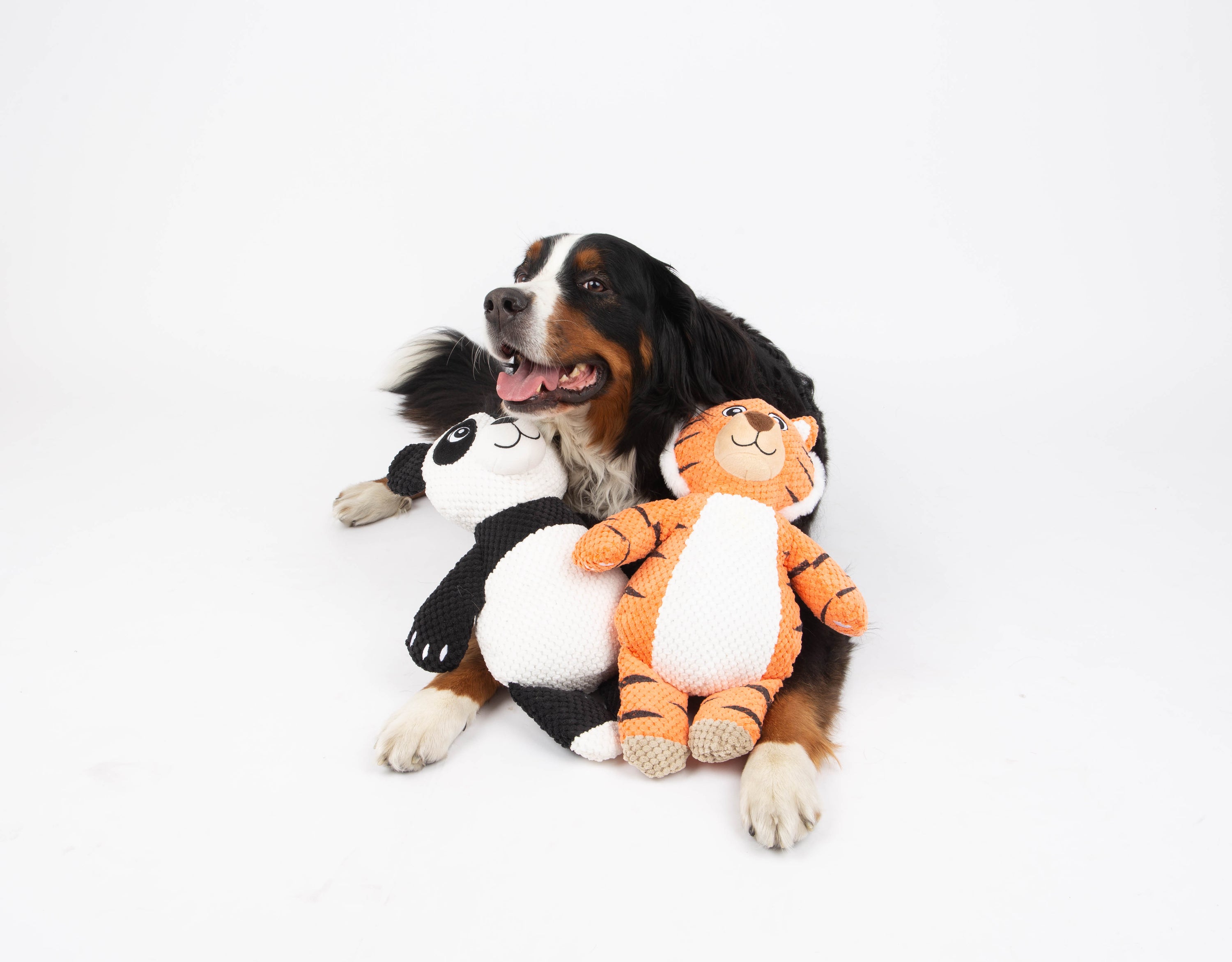 Snugiez Rope Body Jungle Friends  Dog Toy - Panda