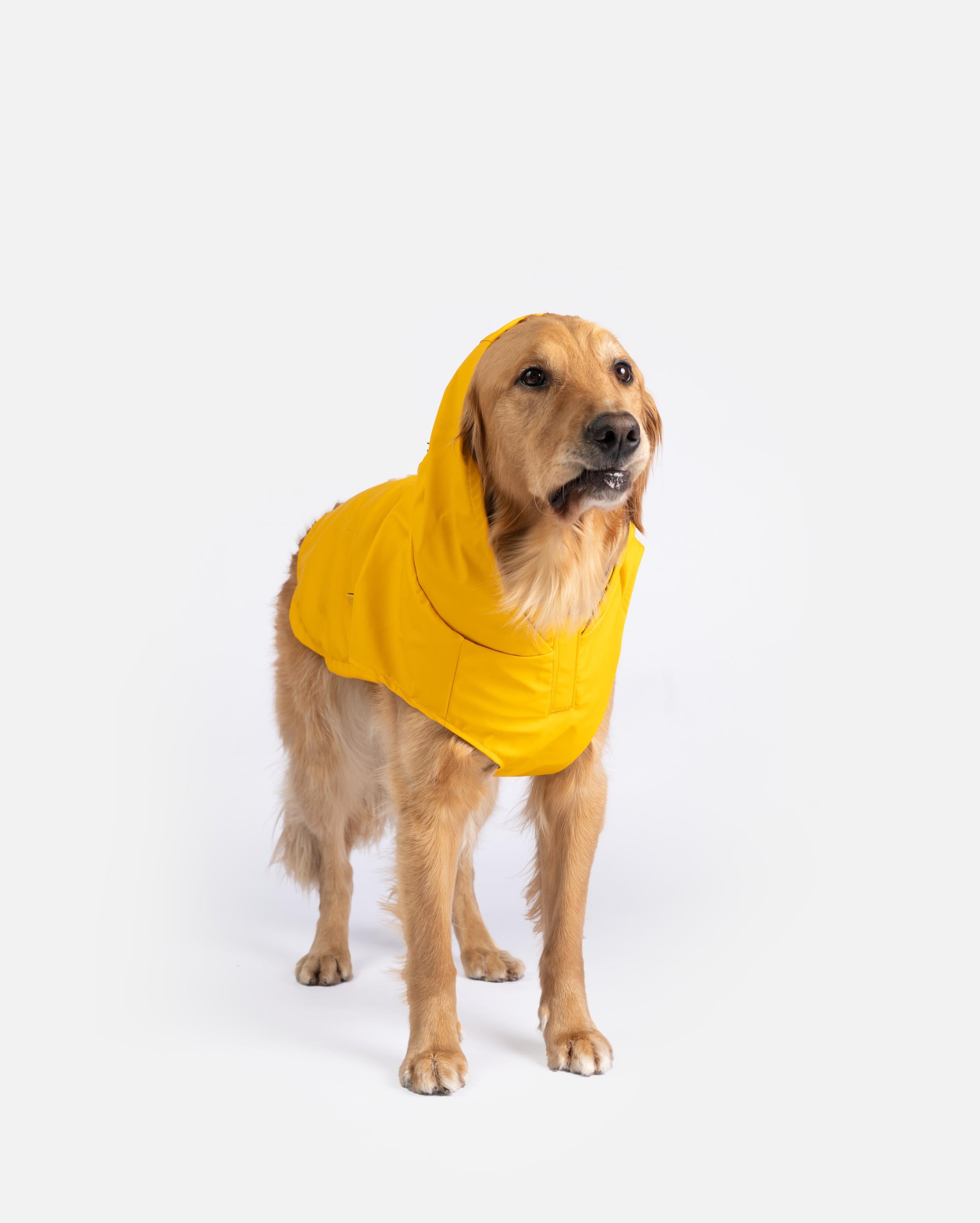 Aden 2.0 Dog Raincoat Yellow  Stylish, Waterproof, Adjustable, with Reflective Piping & Sun Alert Patch